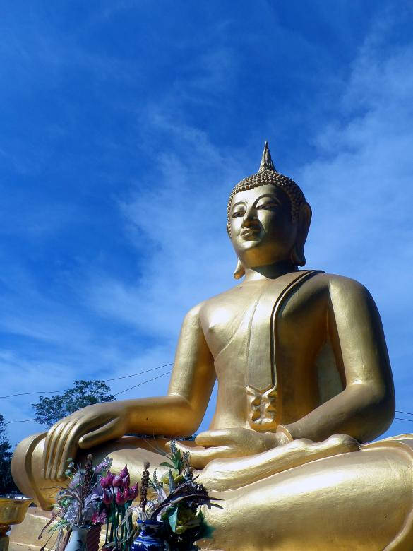 Serene Buddha Image In High Definition Background