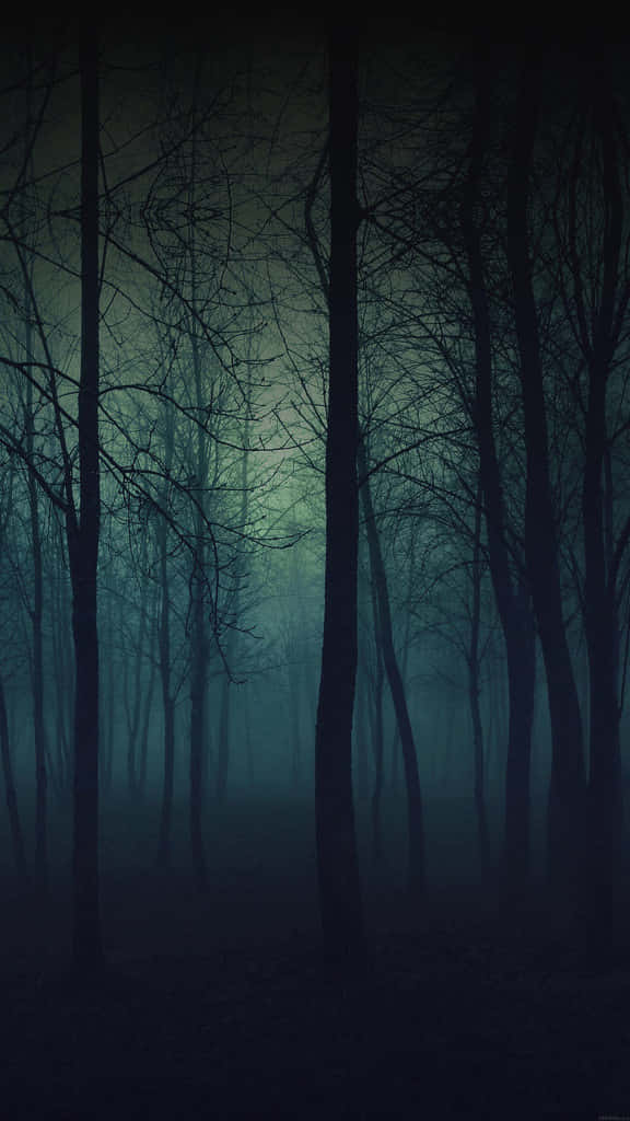Serene Eerie Forest Phone Background