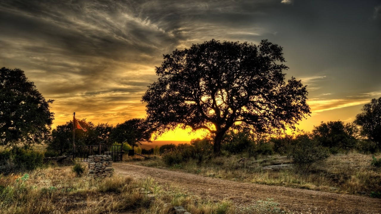 Serene Farm Landscape At Sunset Background