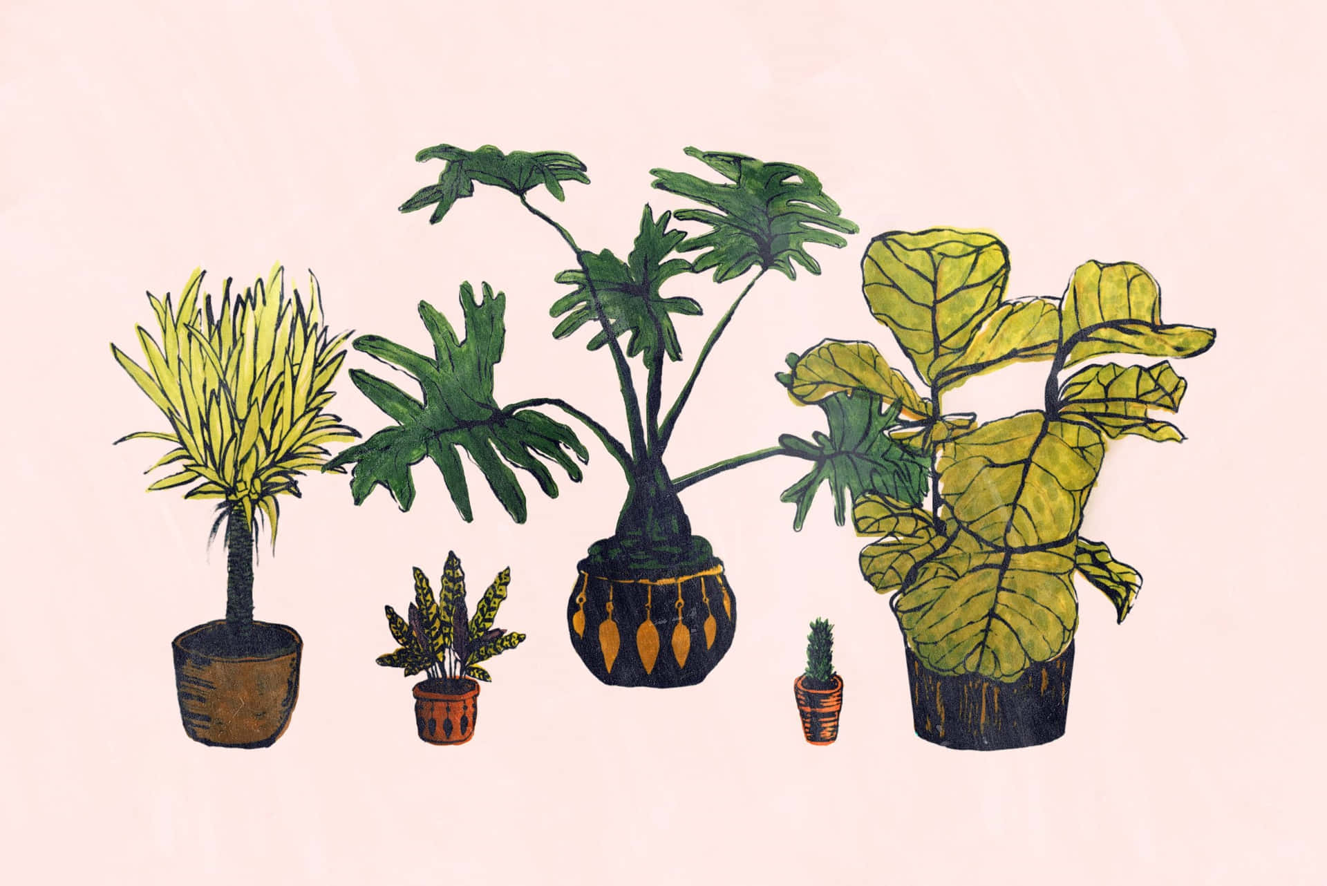 Serene Green - A Snapshot Of An Aesthetic Plant Background