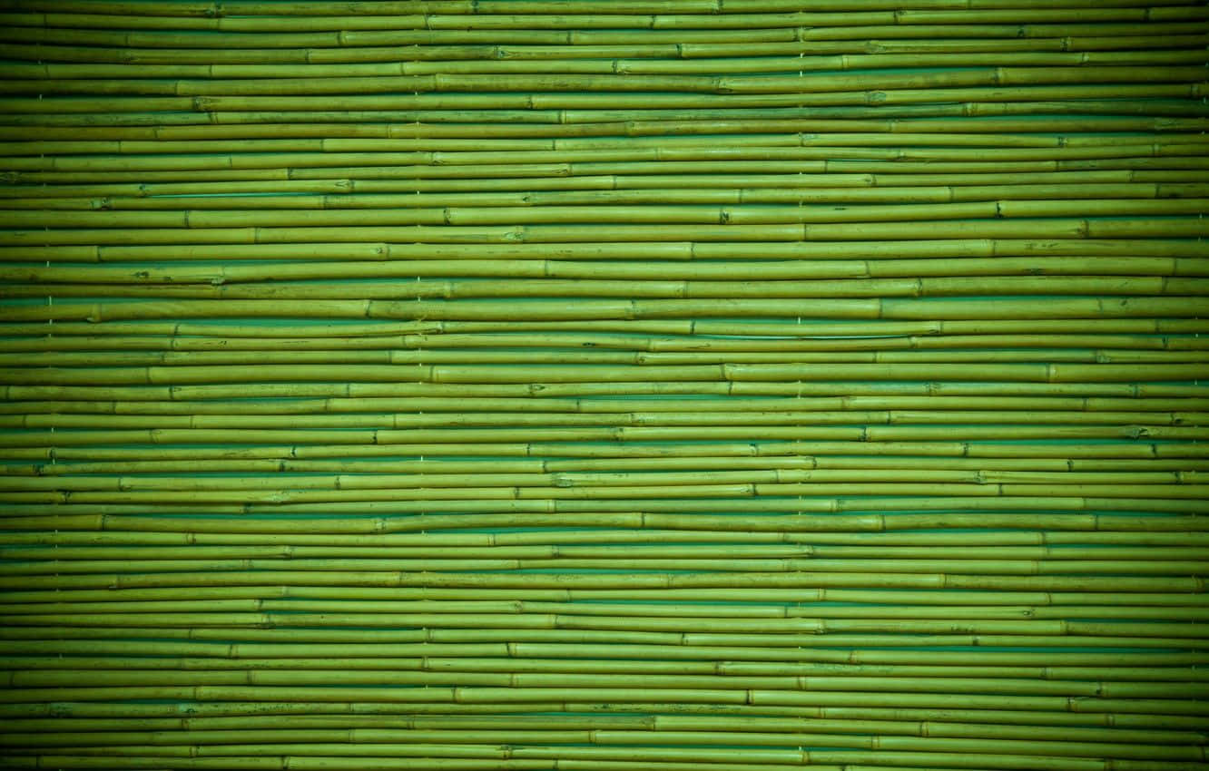 Serene Green Bamboo Forest Background