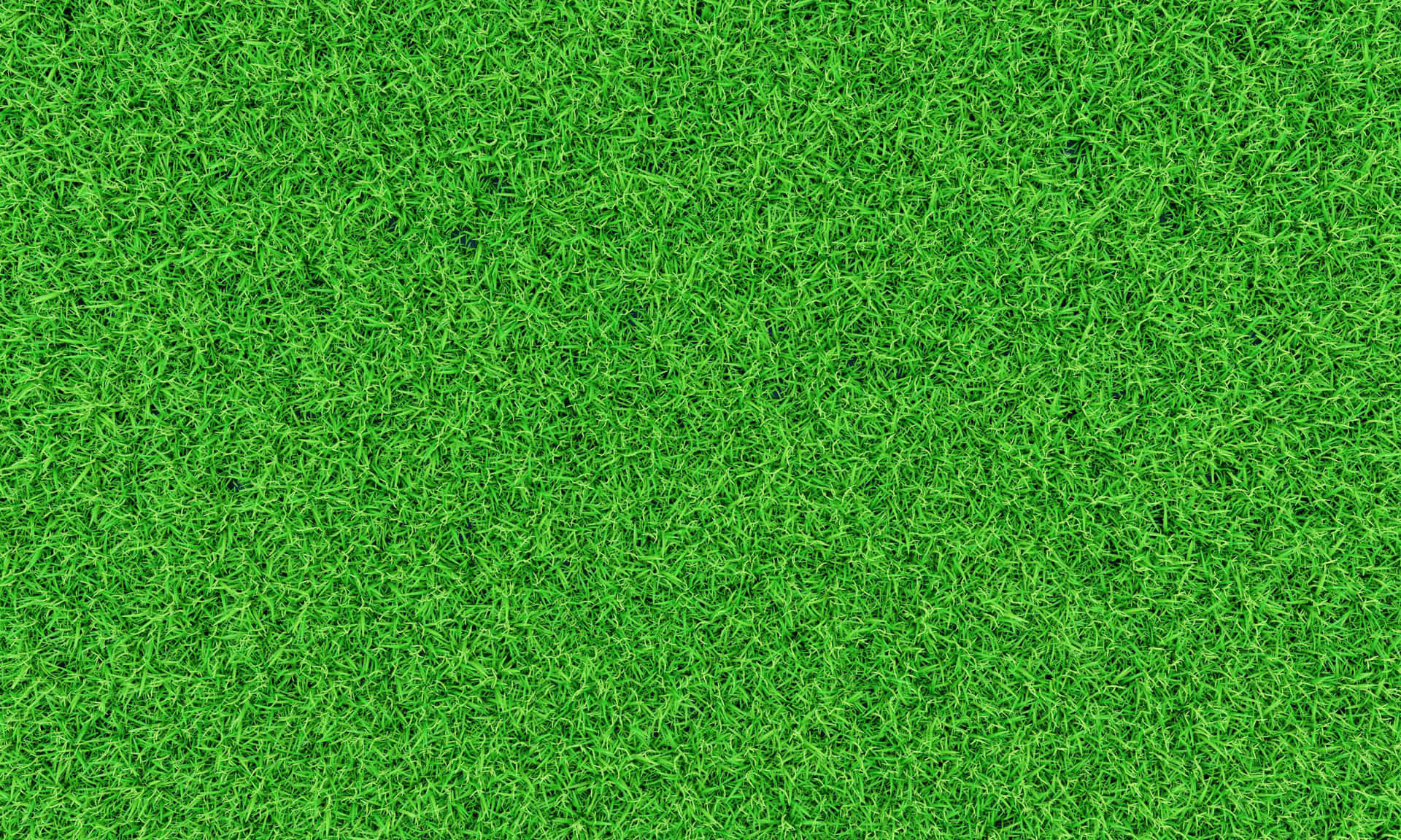 Serene Green Grass Scene Background