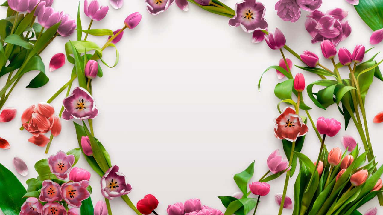 Serene Lake Nature Scenic View Background