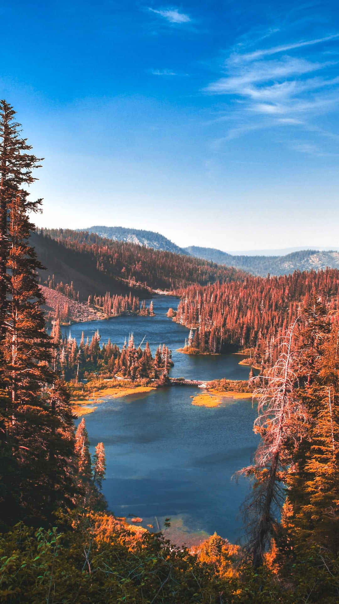 Serene_ Lake_ View_ National_ Park Background