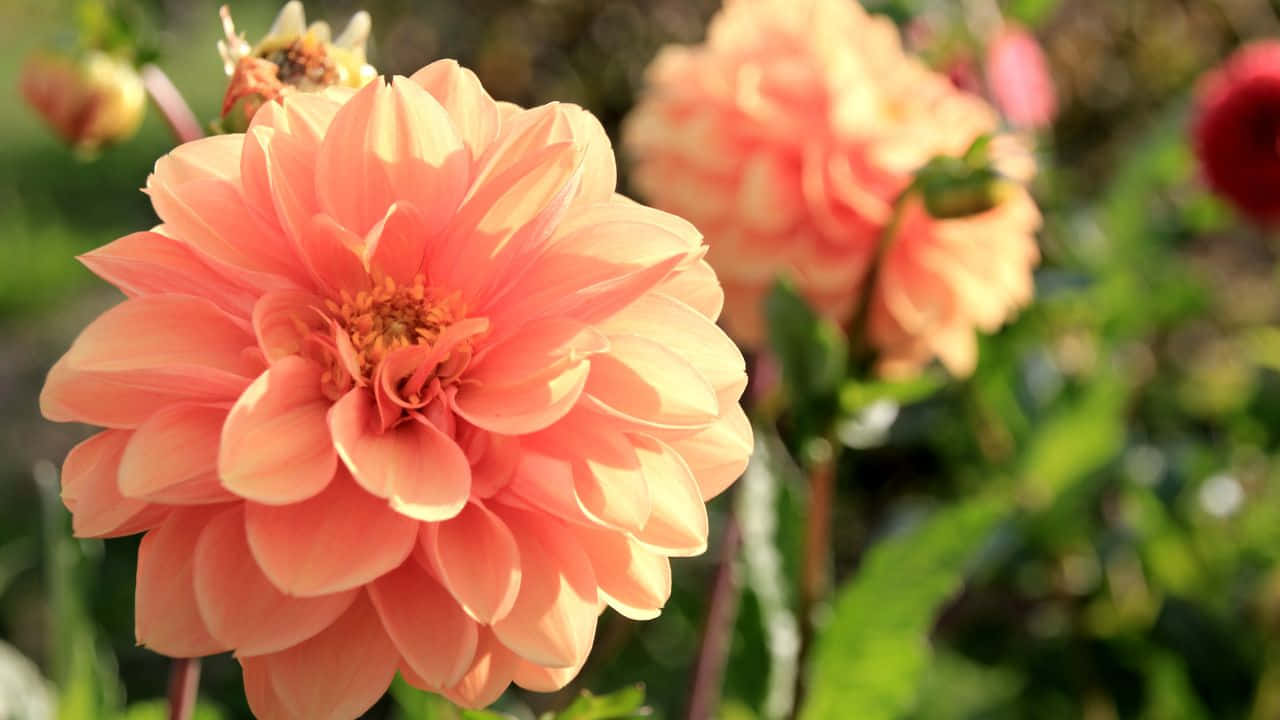 Serene Mountain Landscape With River At Sunset Background