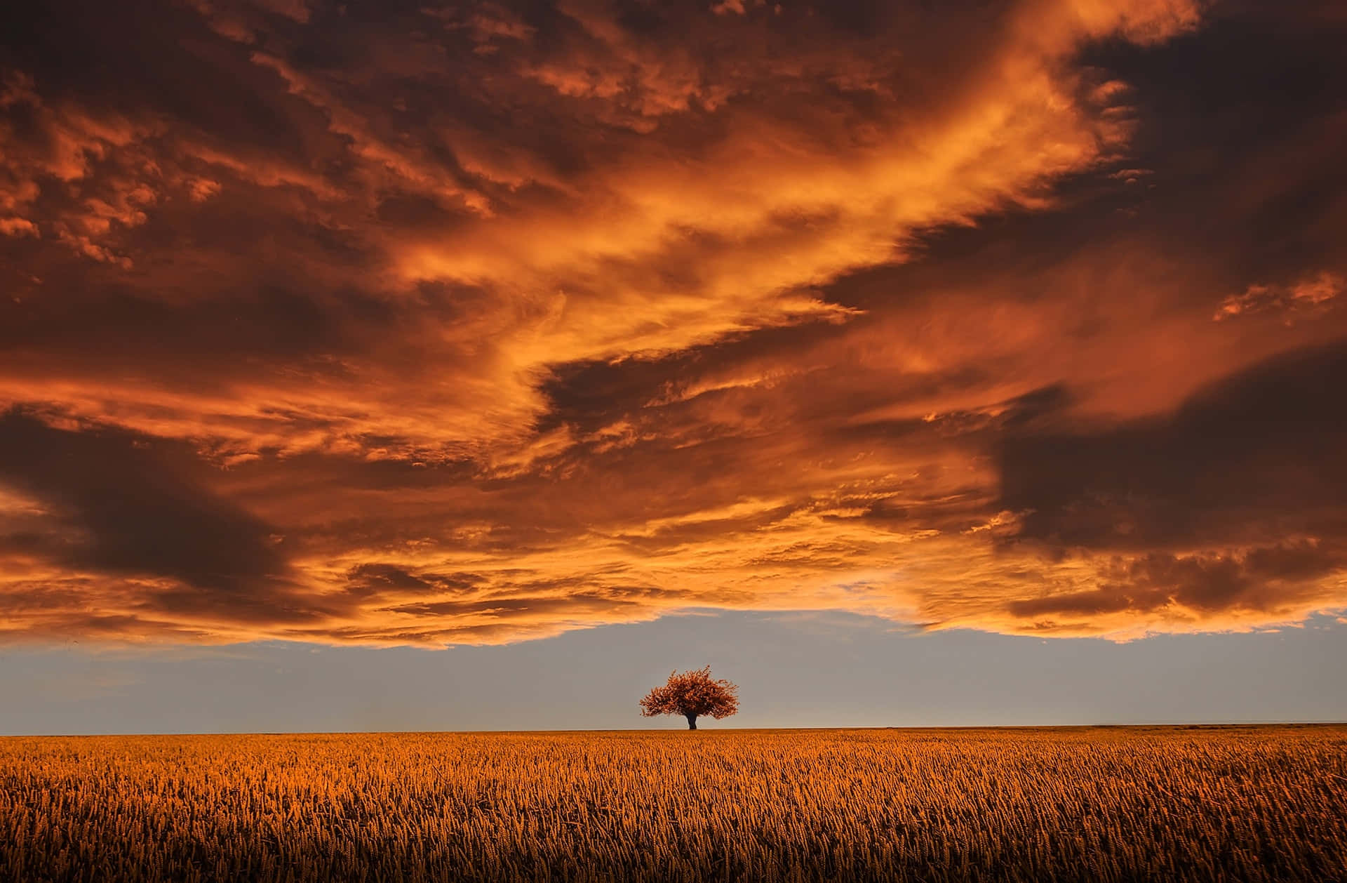 Serene Nature At Sunset Background