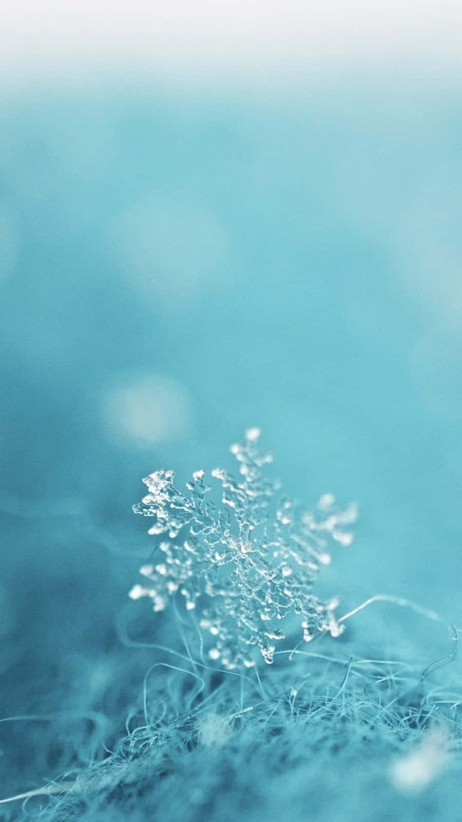 Serene Pastel Blue Green Gradient Background Background