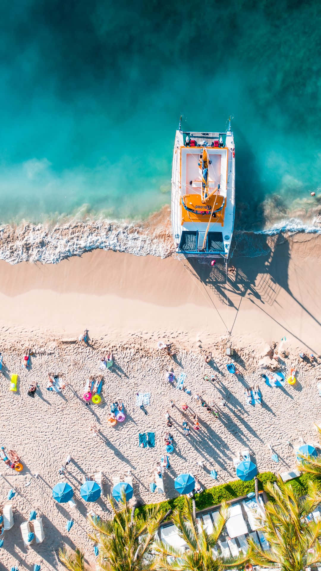 Serene Pink Beach - A Paradise On Earth