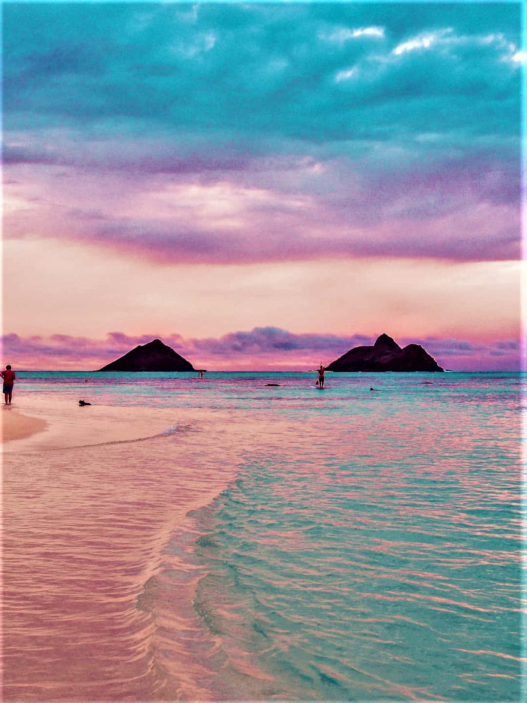 Serene Pink Beach Paradise Background