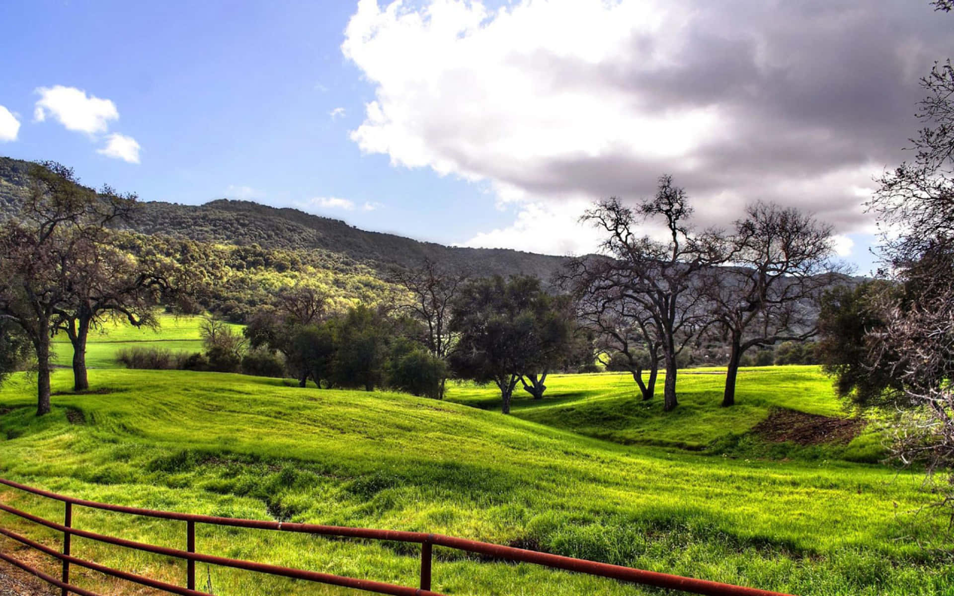 Serene Ranch Landscape Under The Crystal Clear Sky