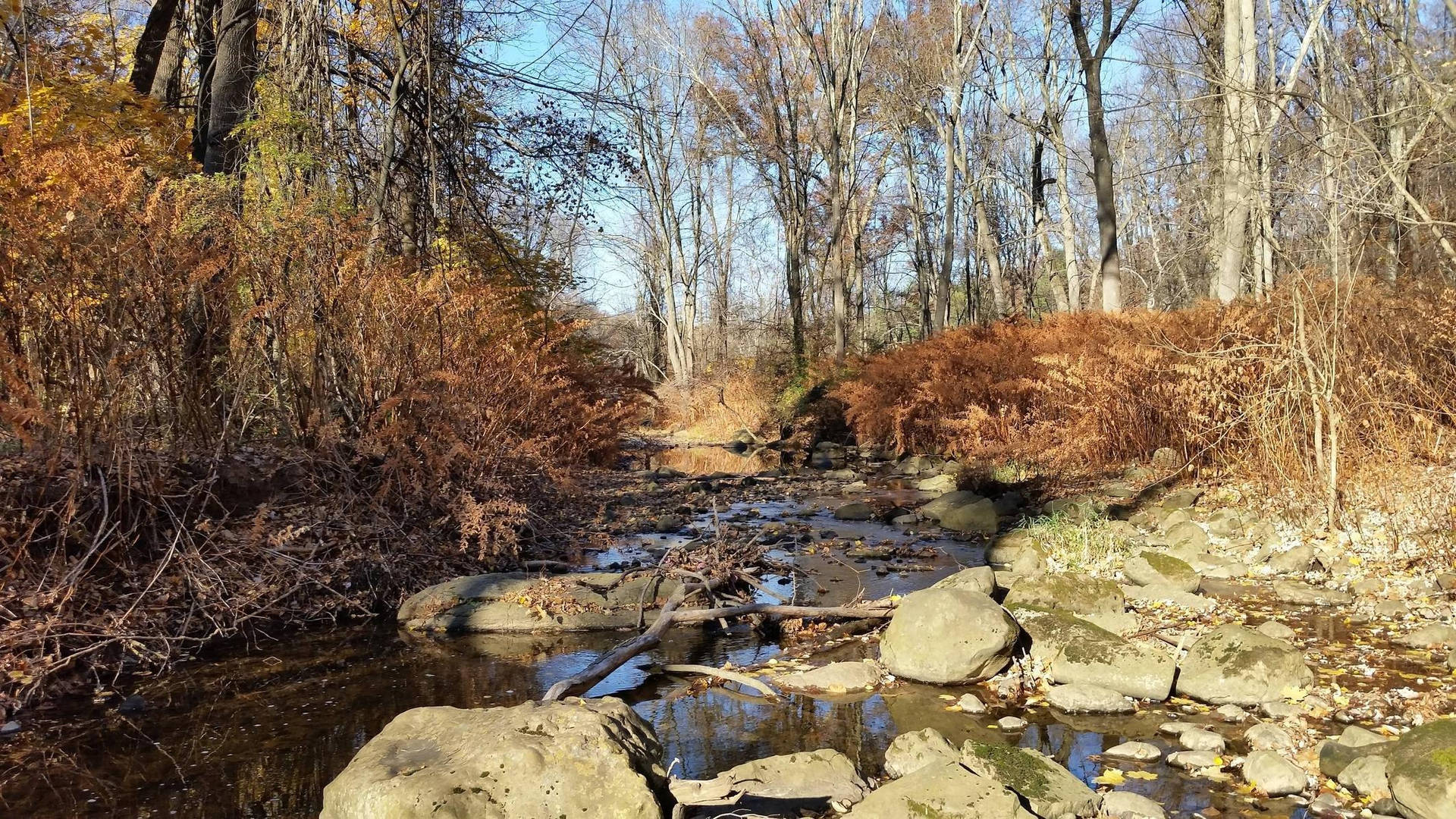 Serene River Flowing Through Nature In New Jersey Background