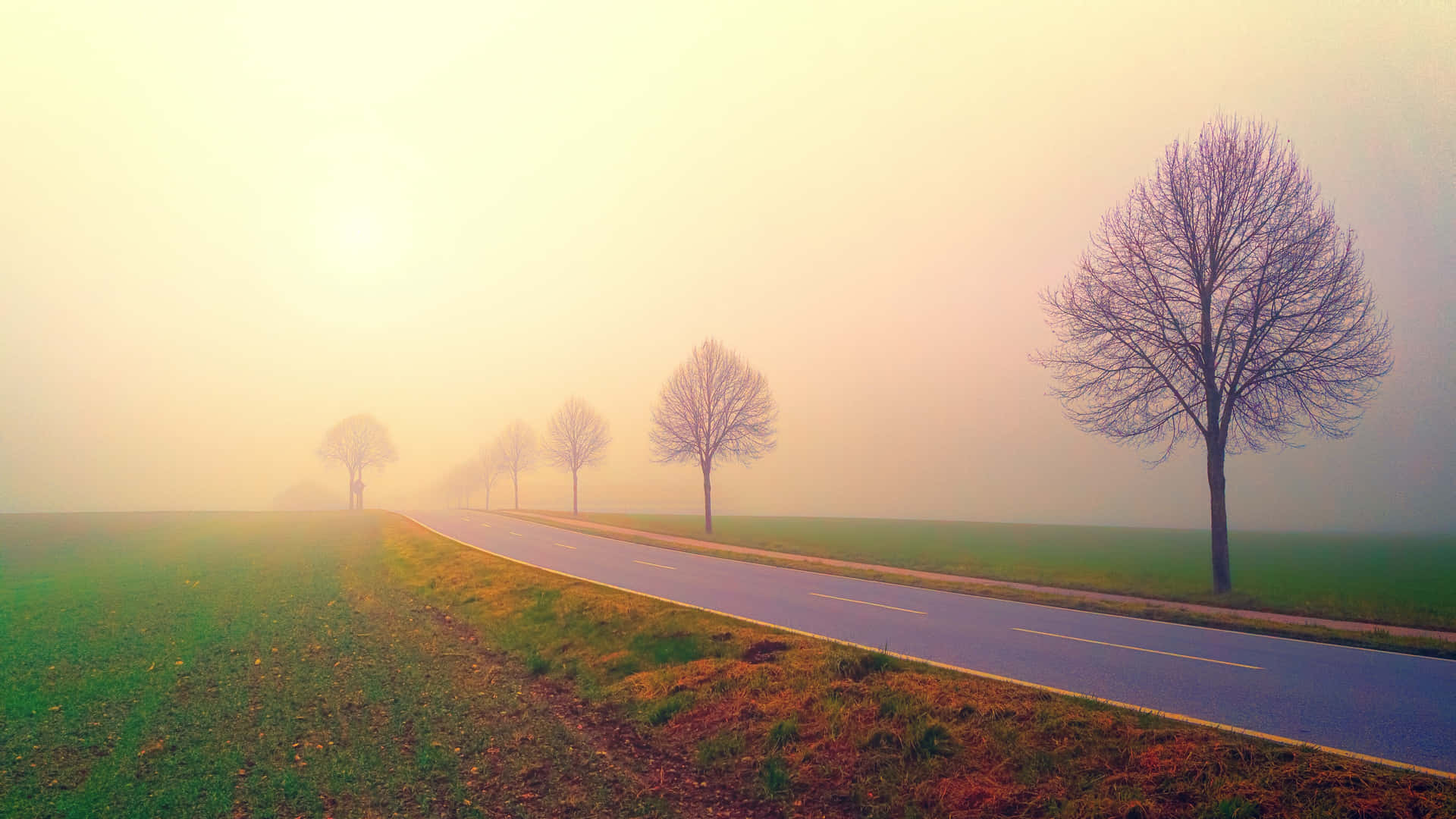 Serene Road With A Foggy Horizon Background