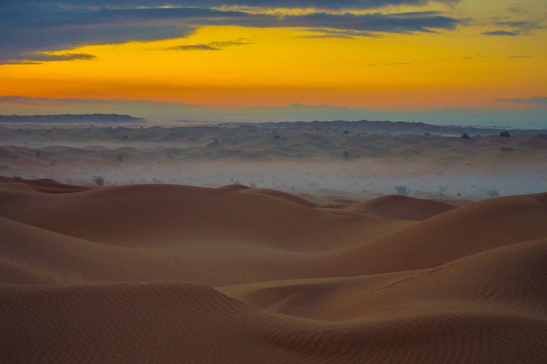 Serene Sahara Desert
