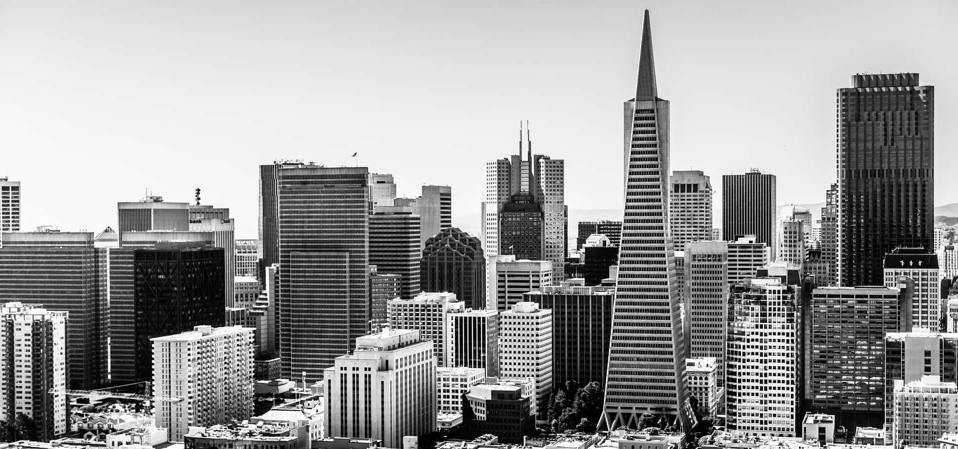 Serene San Francisco In Black And White