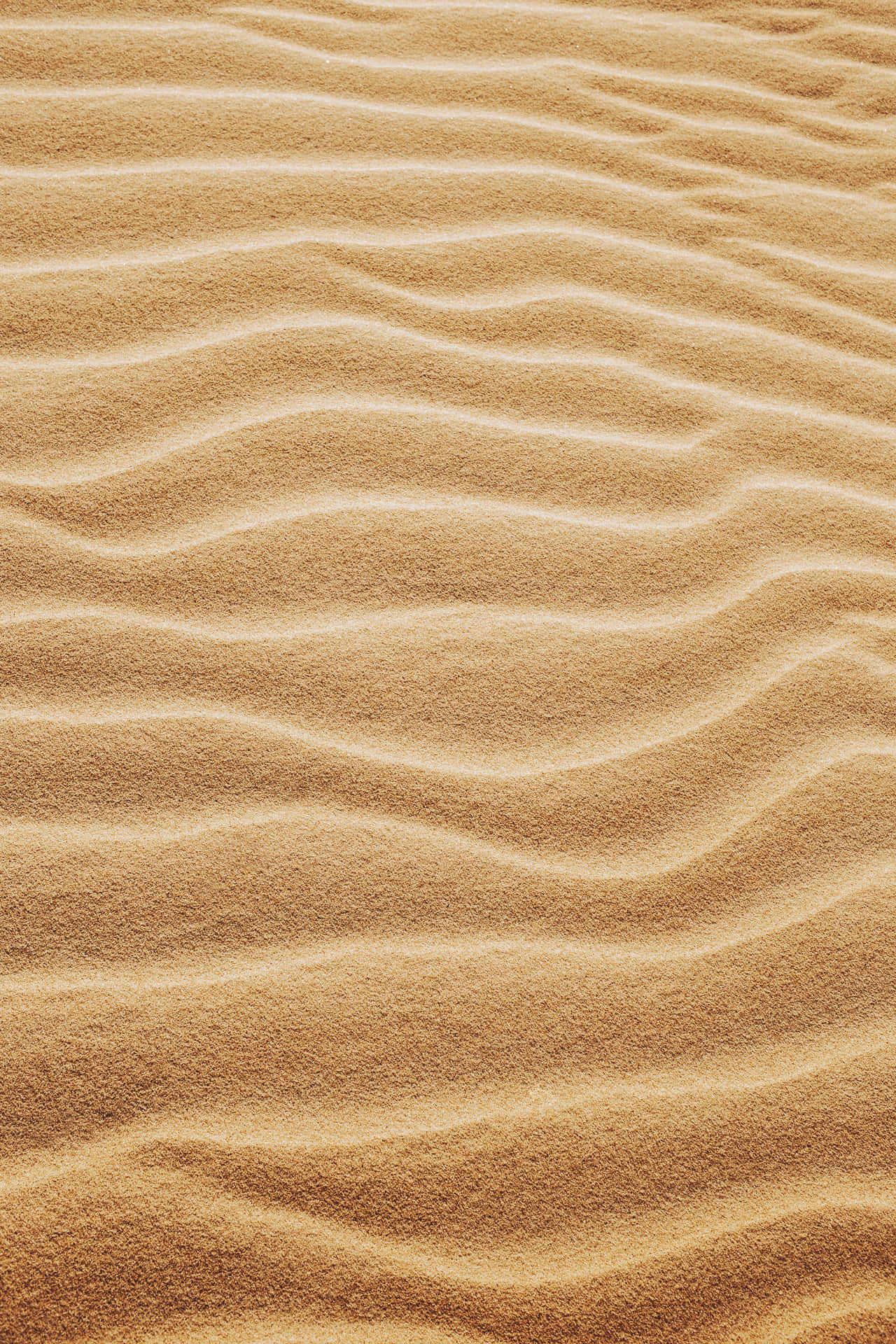 Serene Sandy Beachfront