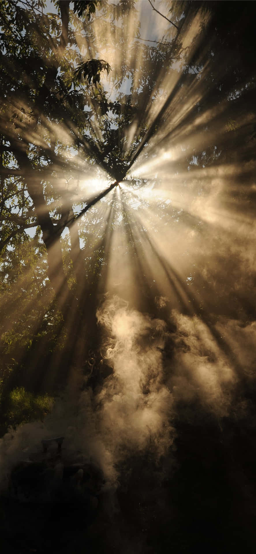 Serene Scene With Sun Rays Background