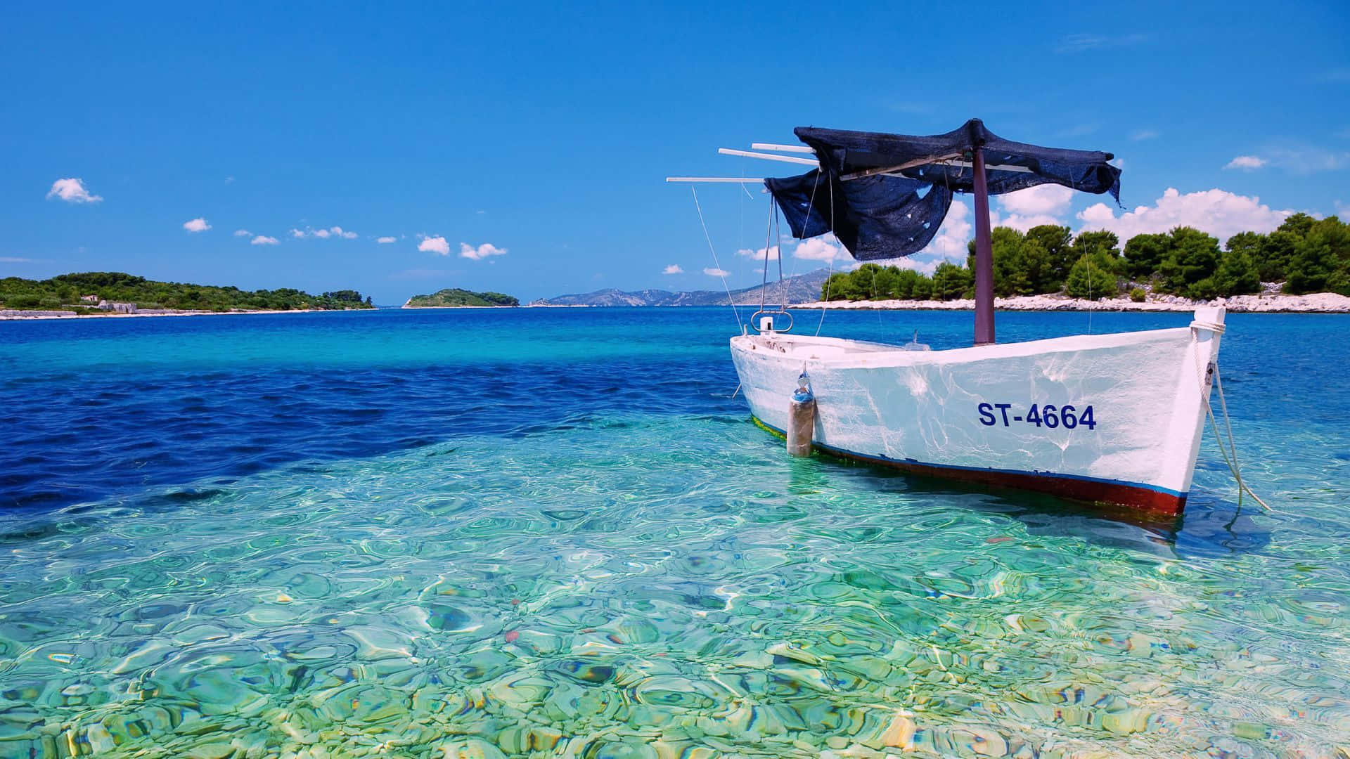 Serene Seaand Traditional Boat Background