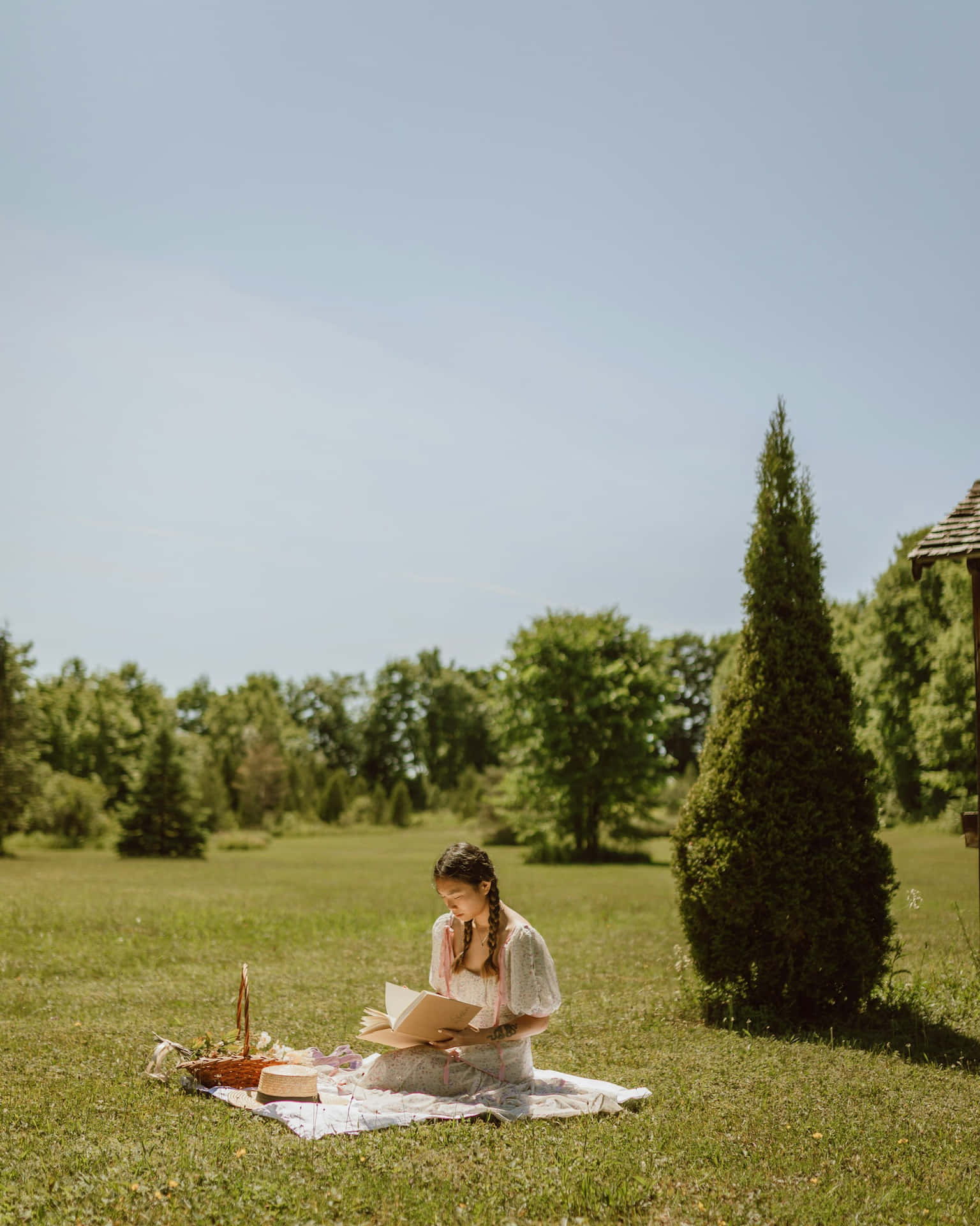 Serene Solo Picnic Reading Session Background