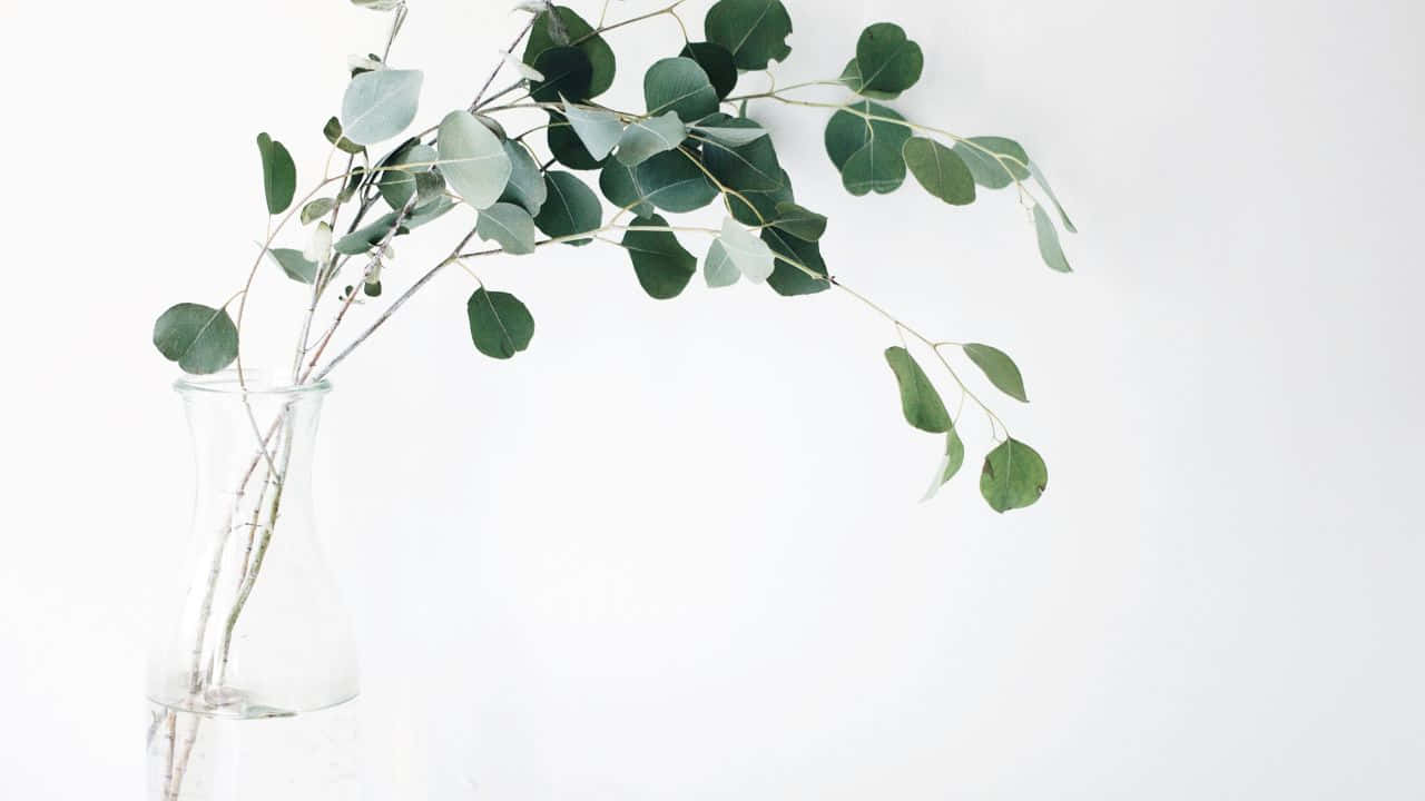 Serene Sunrise Over Calm Water Background