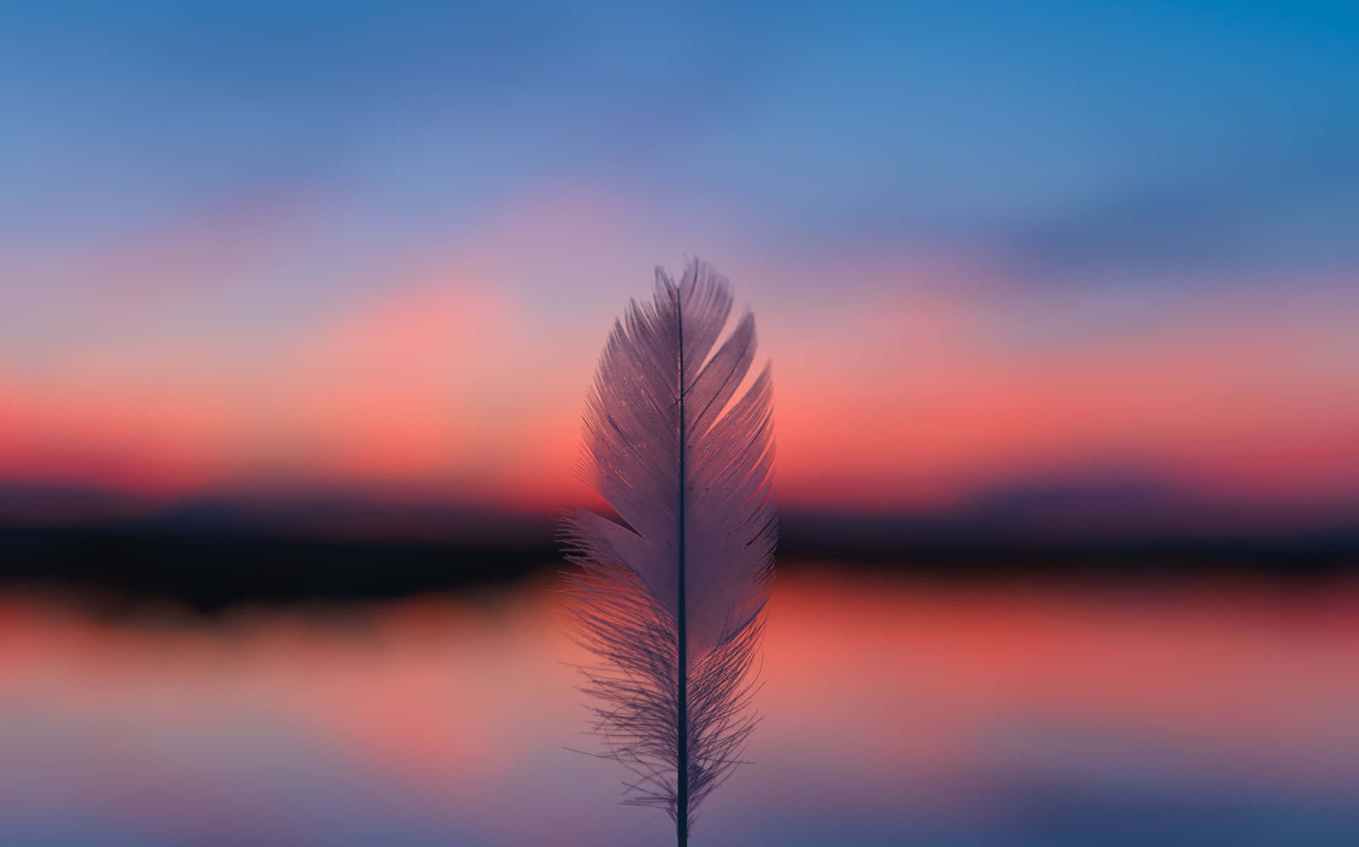 Serene Sunset Feather Reflection
