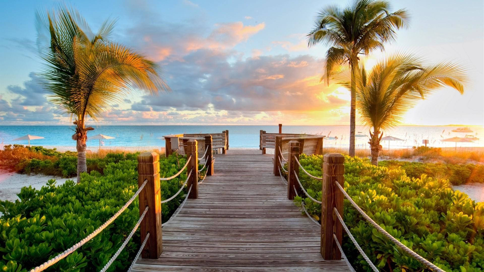 Serene Tropical Boardwalk Area Background