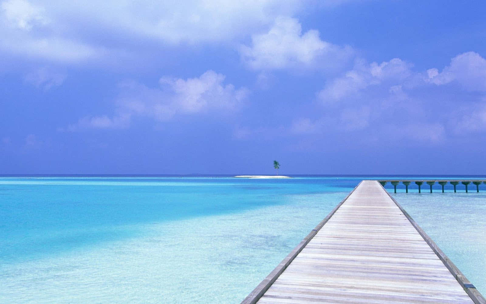 Serene_ Tropical_ Escape.jpg Background