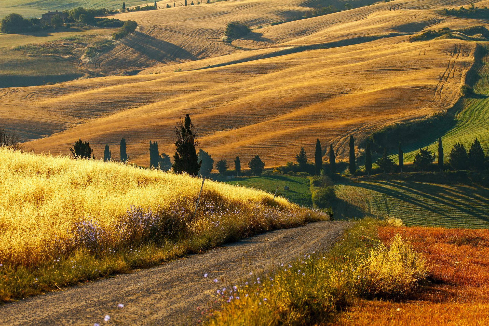 Serene Tuscan Hills