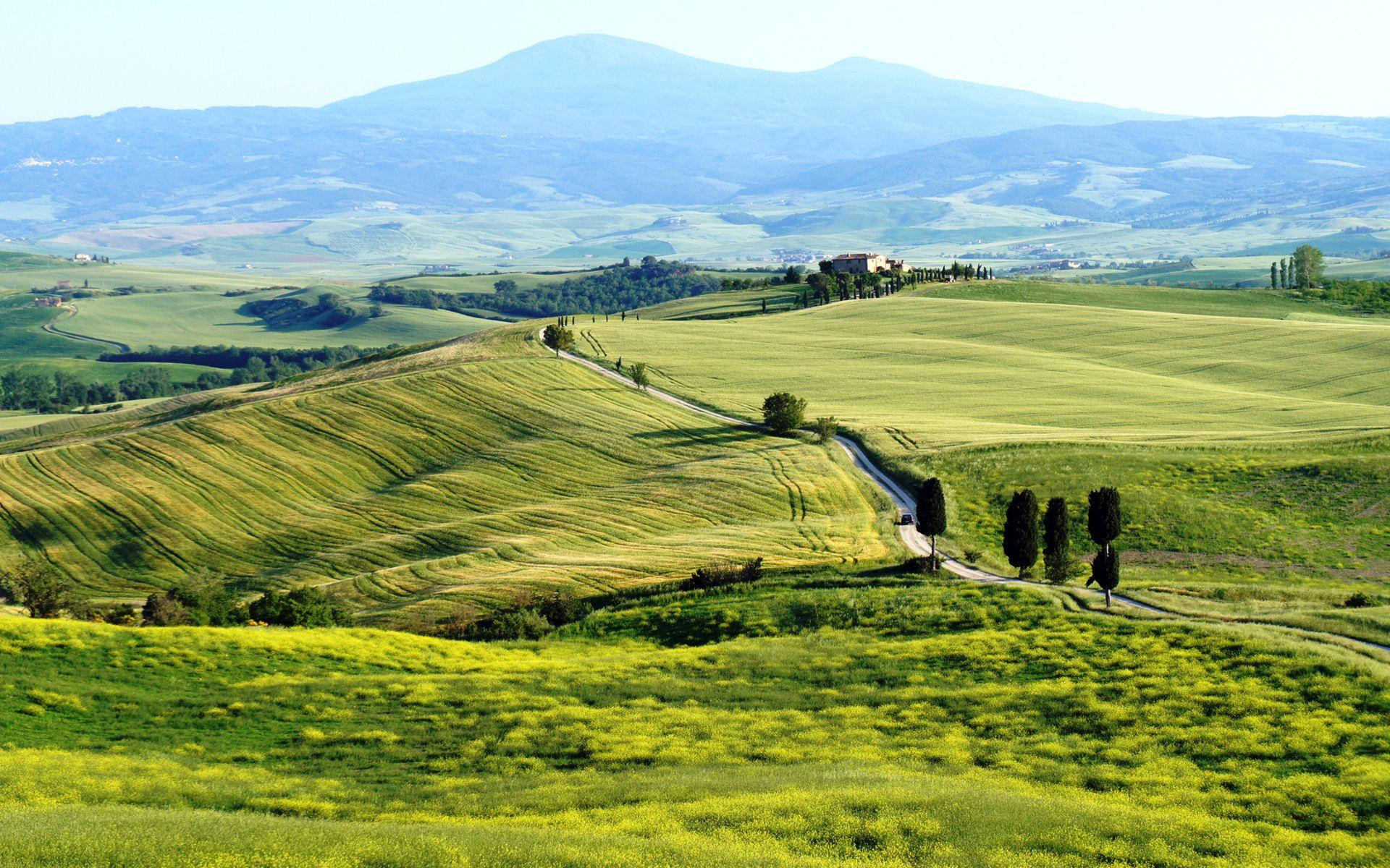 Serene Tuscany Landscape And Greenery Background