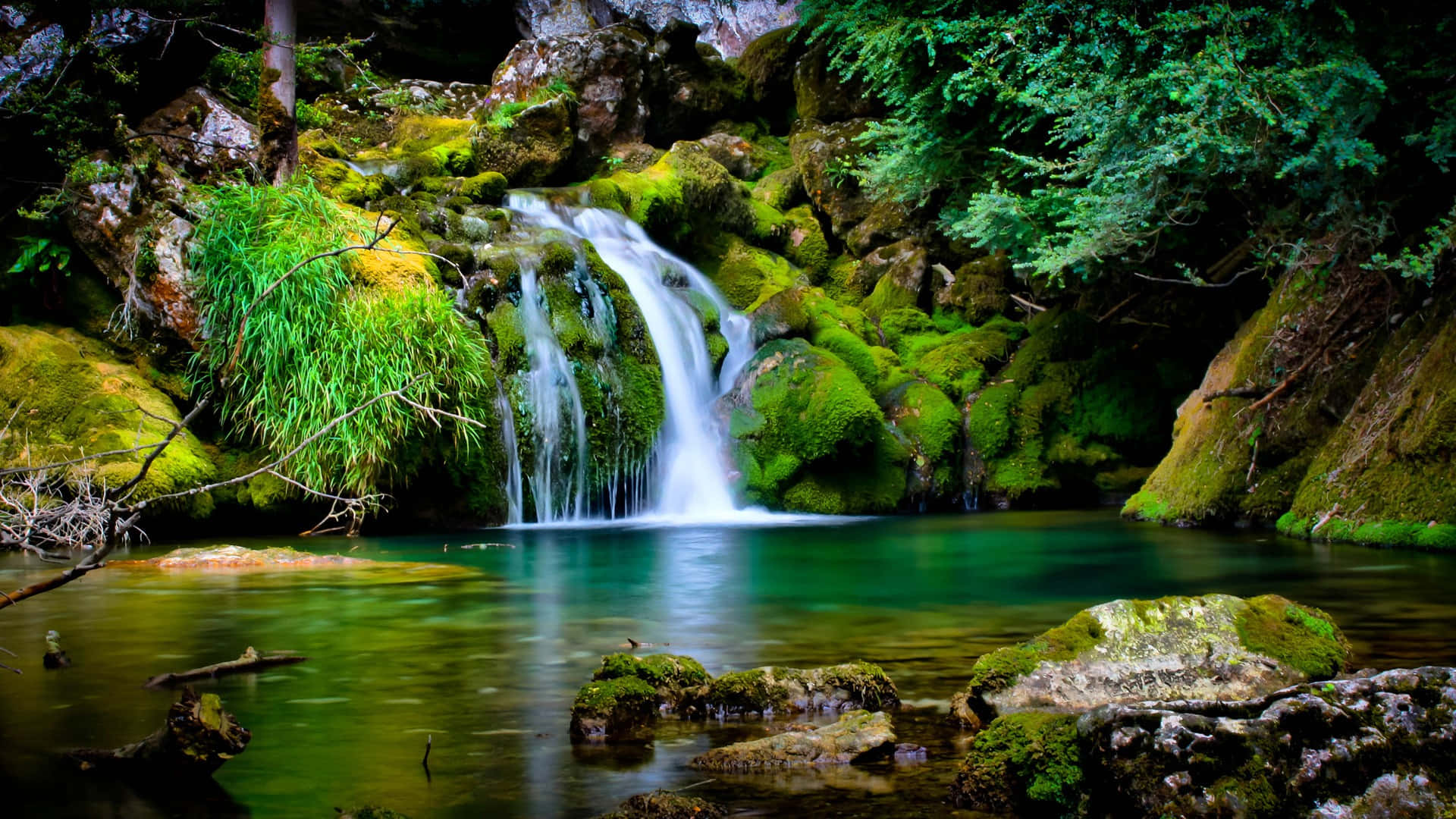 Serene Vercors Forest With Waterfall Background
