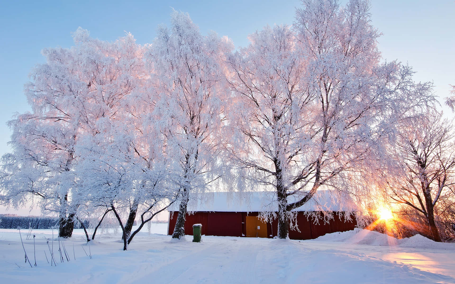 Serene Winter Scenery Background