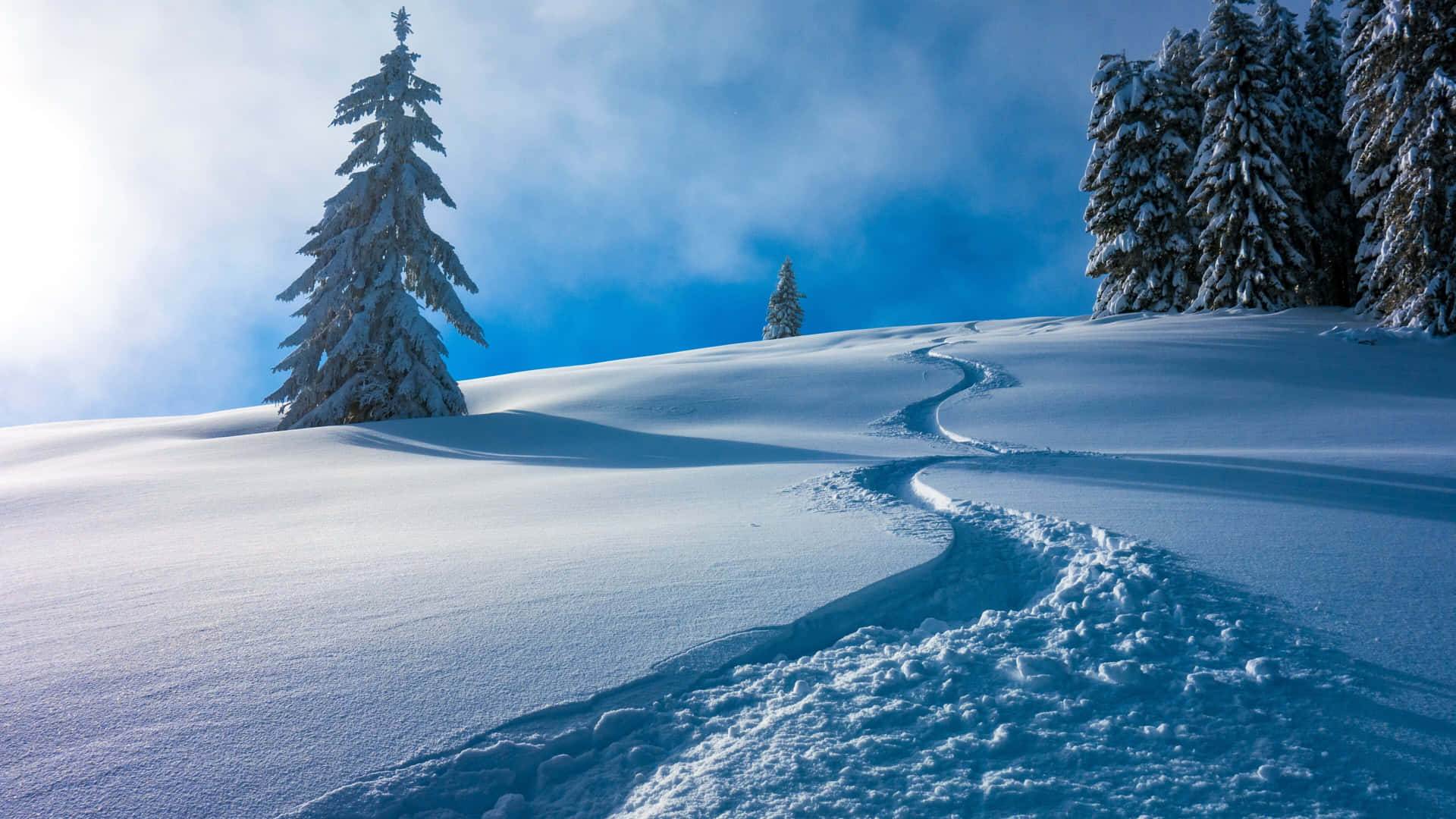 Serene Winter Trail4 K Background