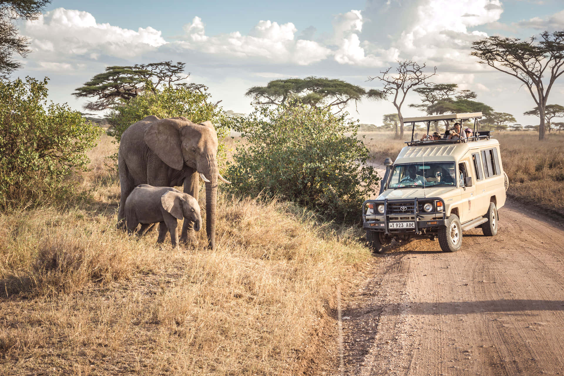 Serengeti National Park Safari Vehicle Close To Elephants Background