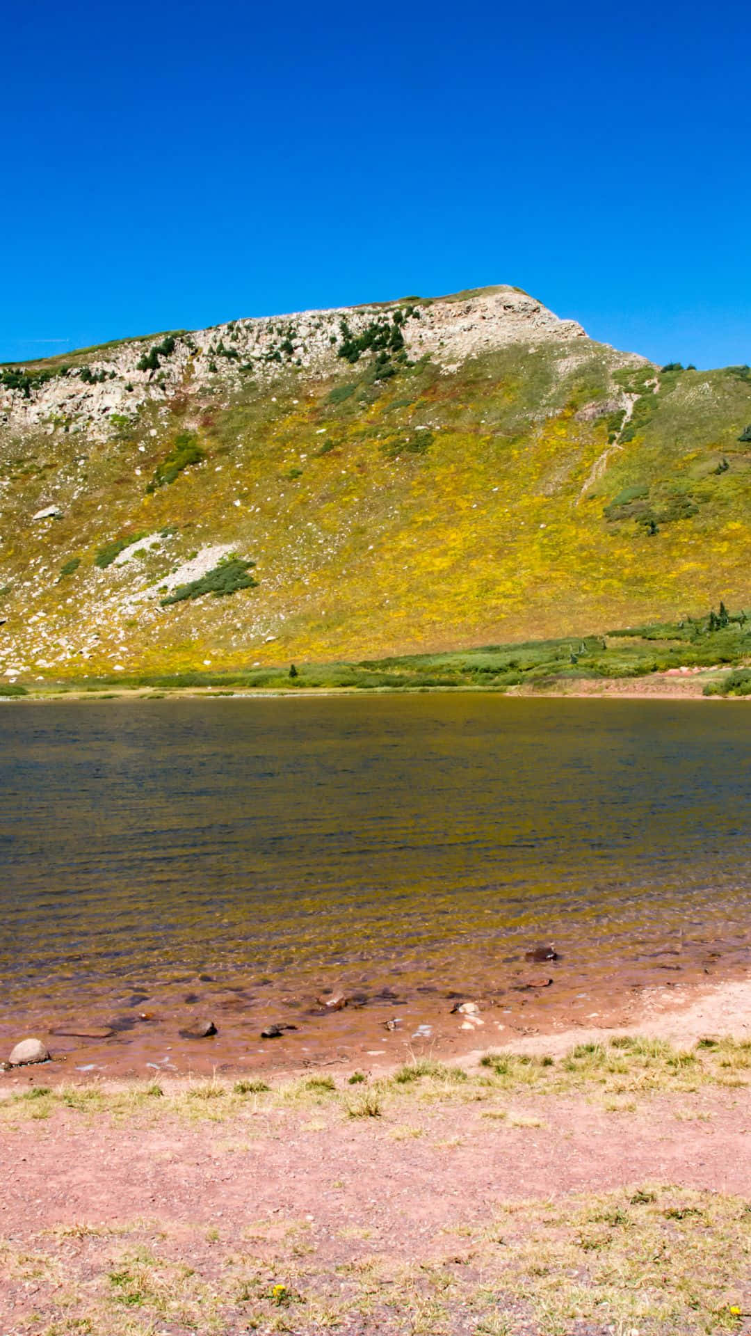 Serenity At Pink Beach Background