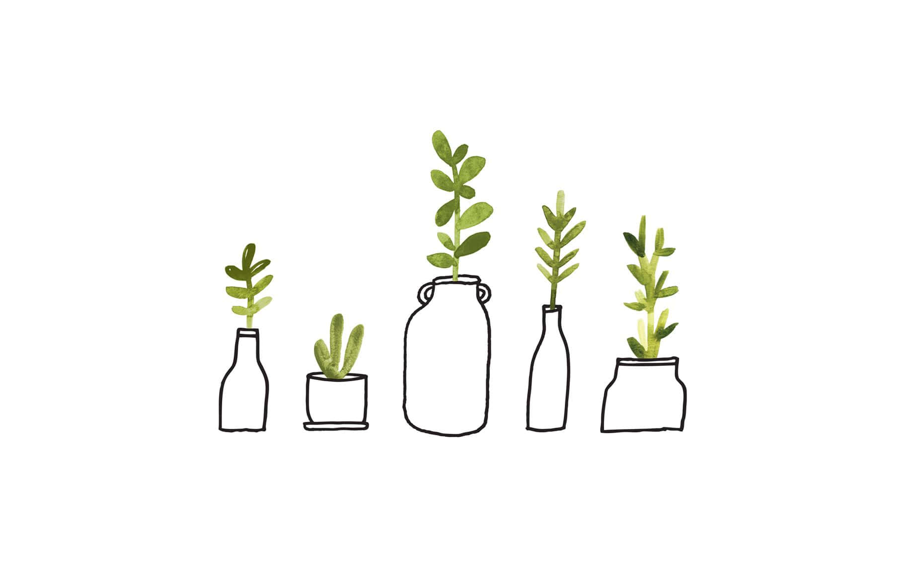 Serenity In Green - An Aesthetic Cute Plant Background