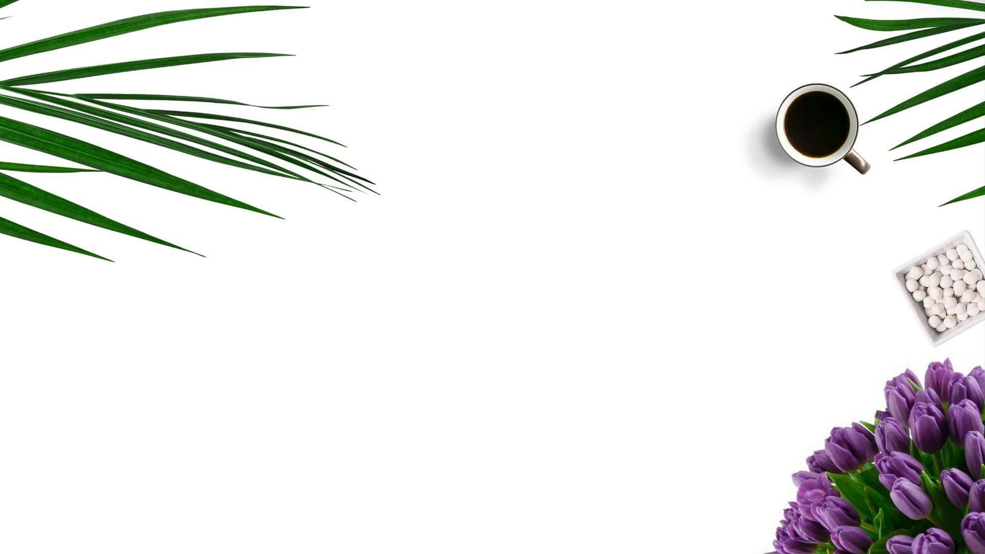 Serenity In Simplicity, Minimalist Plant On Desktop Background