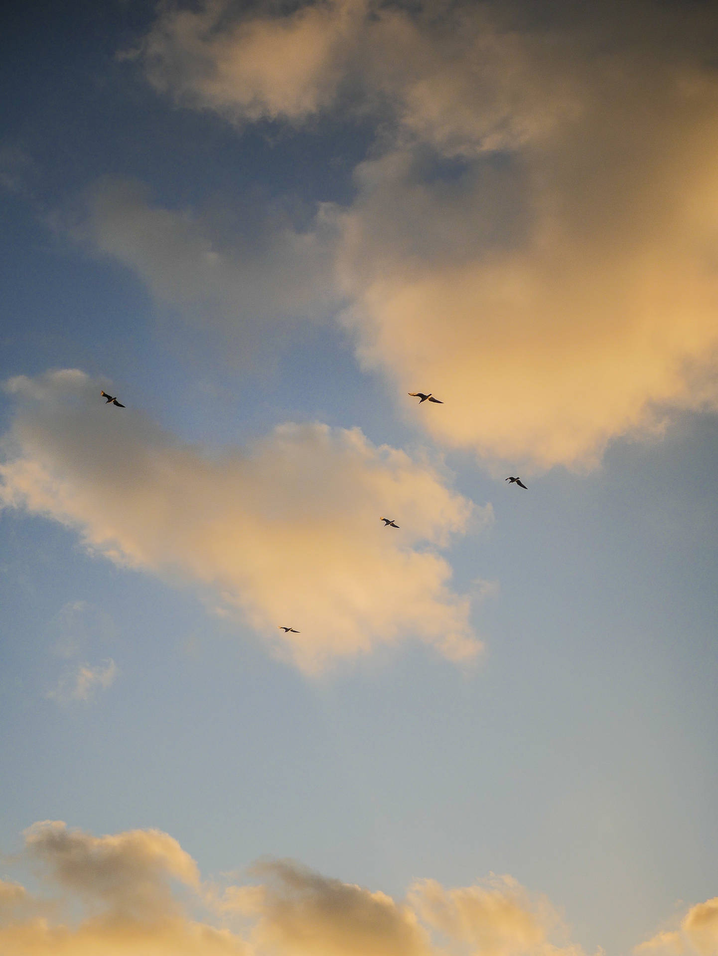 Serenity Soaring - Birds Gracing The Cloud Aesthetic Sky Background