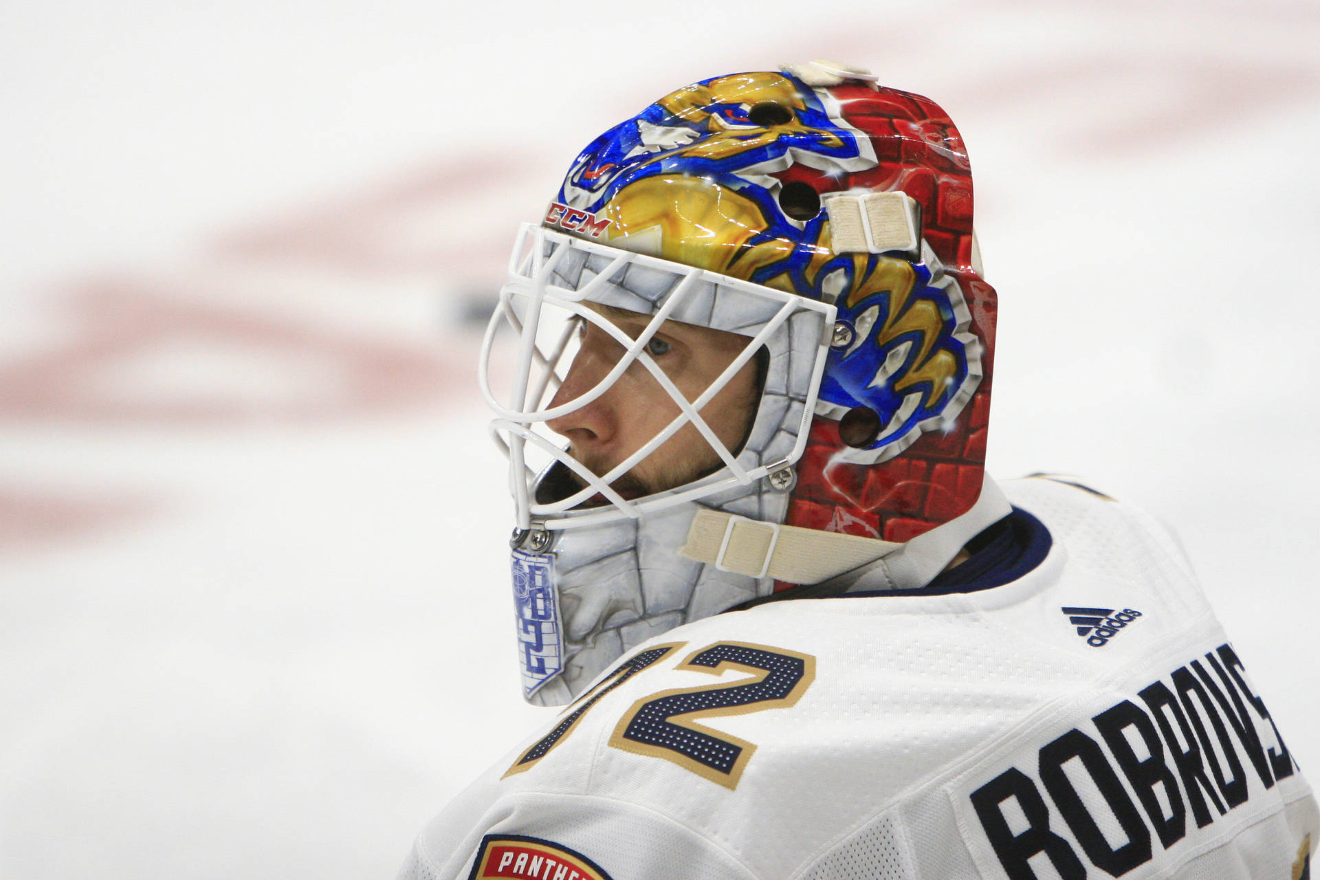 Sergei Bobrovsky Closeup Shot Background