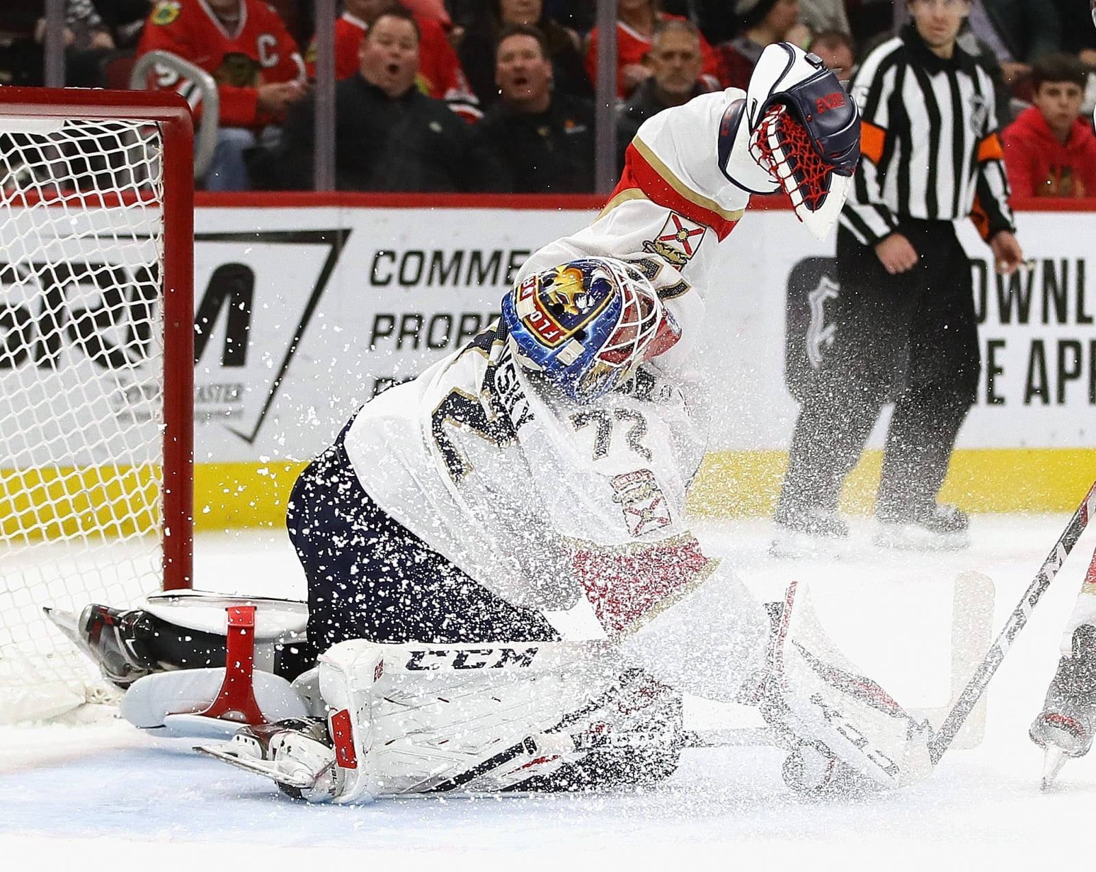 Sergei Bobrovsky Florida Panther Goaltender Background