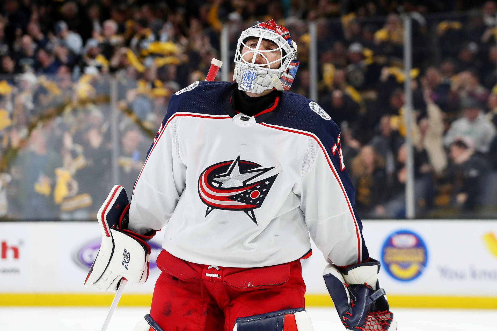 Sergei Bobrovsky Ice Hockey Player Background