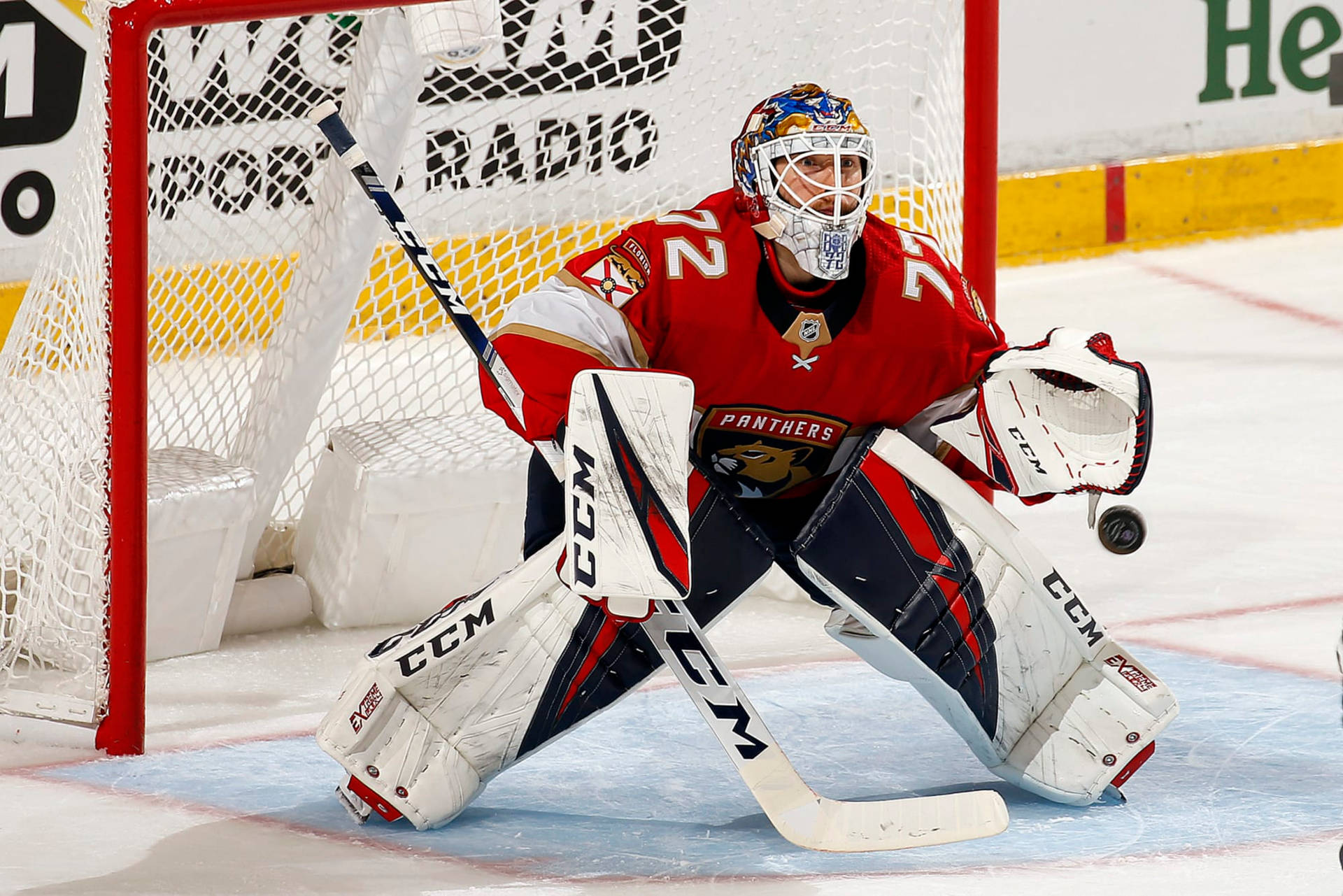 Sergei Bobrovsky National Hockey League Player Background