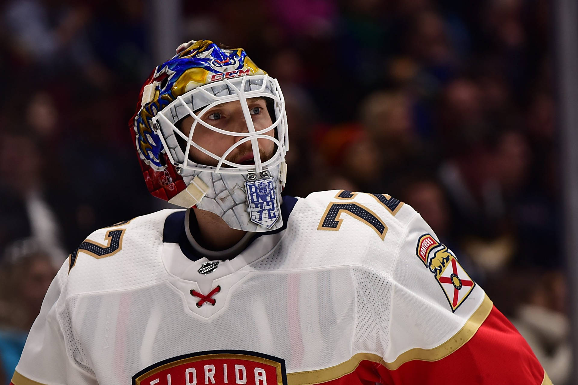 Sergei Bobrovsky - Precision In Action Background