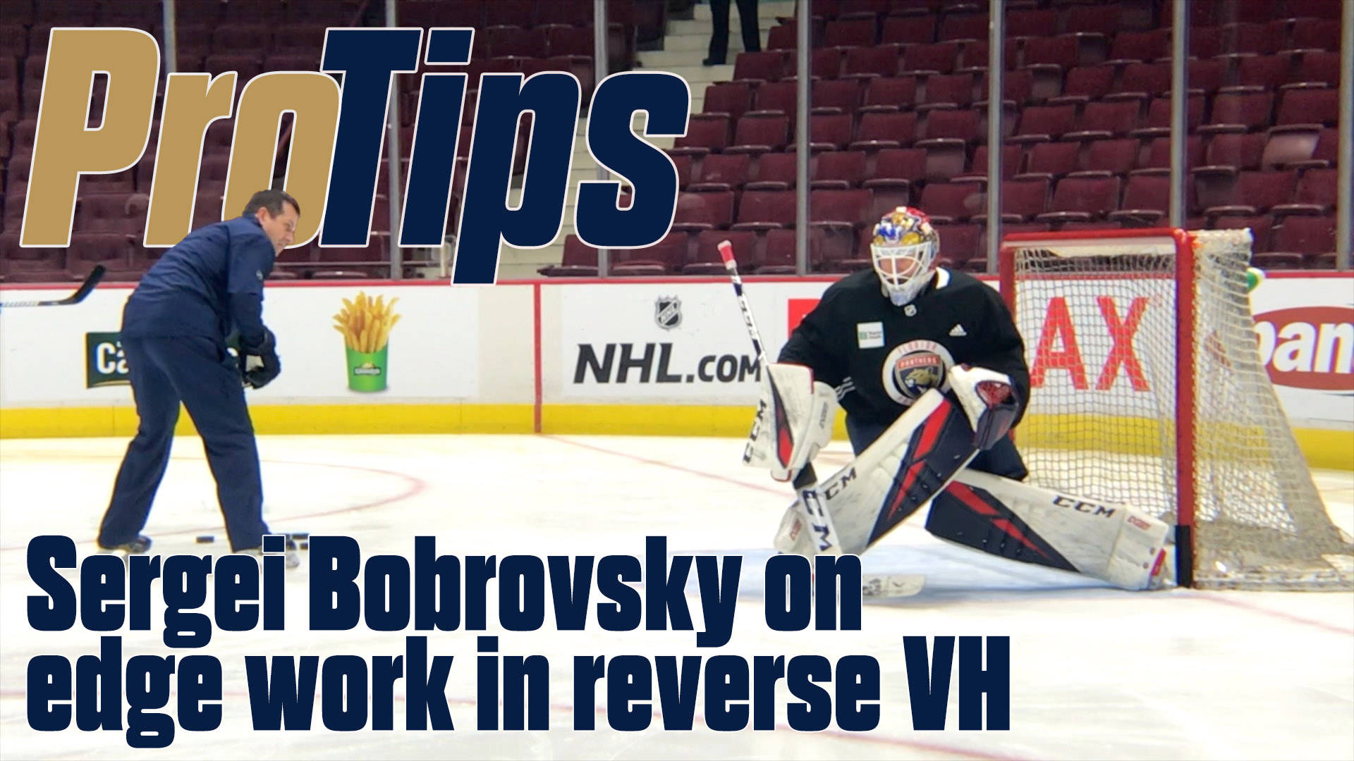 Sergei Bobrovsky Protips Poster Artwork Background