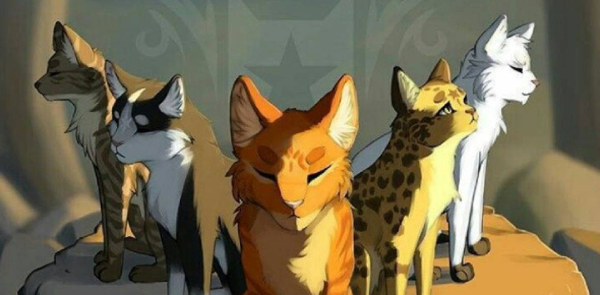 Serious Faces Of Warrior Cats Background