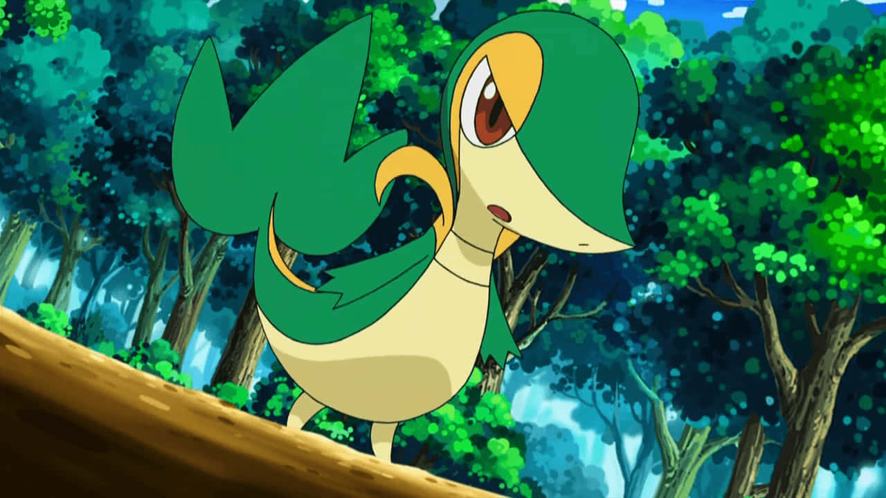 Serious Snivy Background