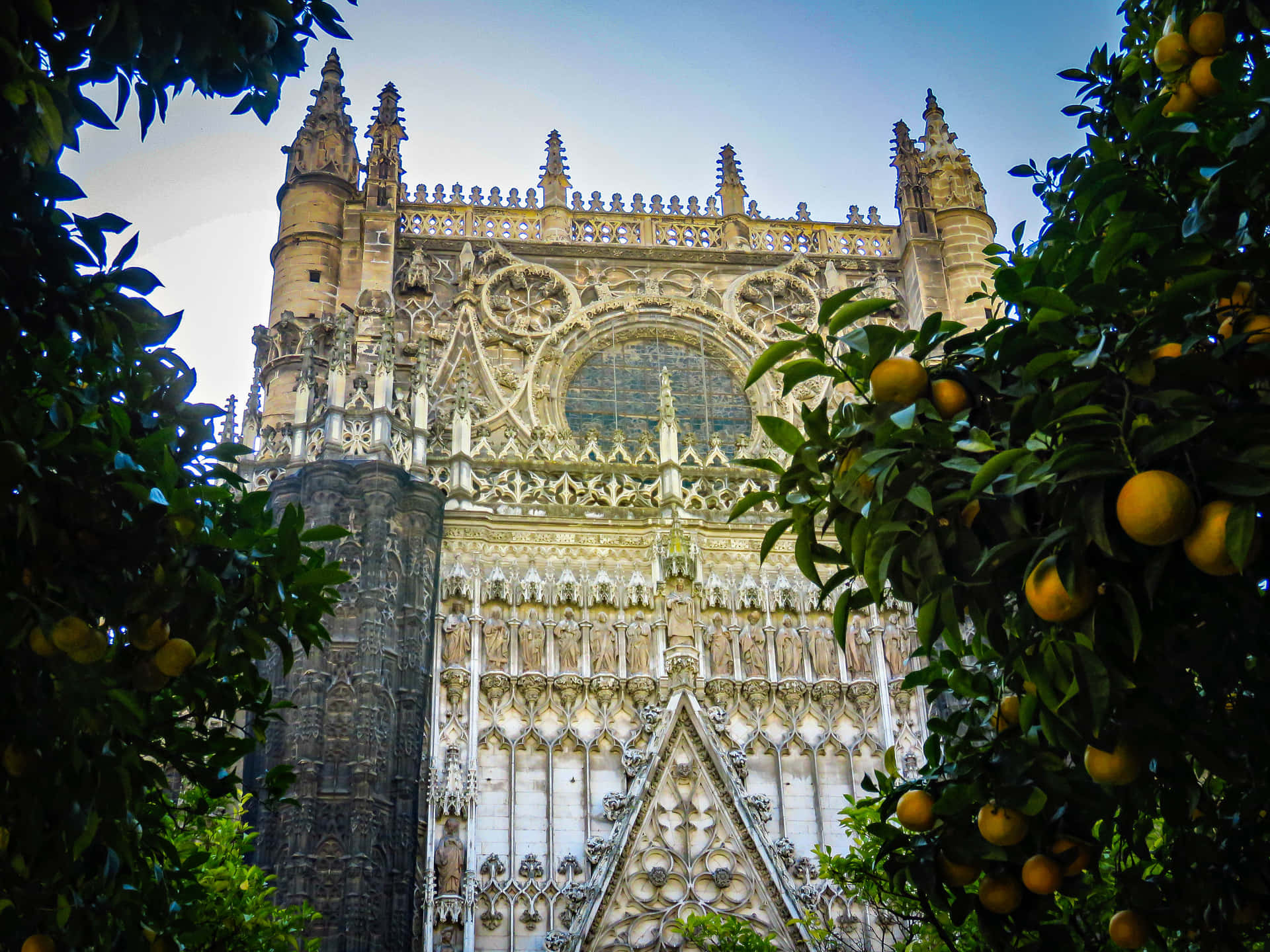 Seville Cathedral And Orange Trees Background