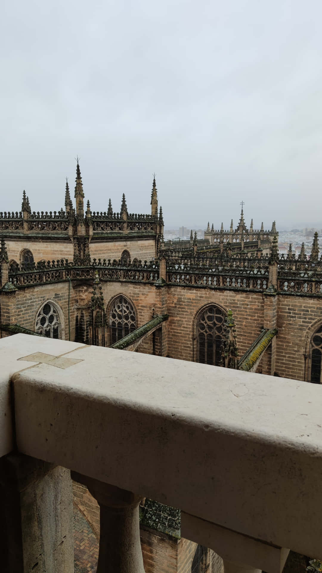 Seville Cathedral From Elevated Area Background
