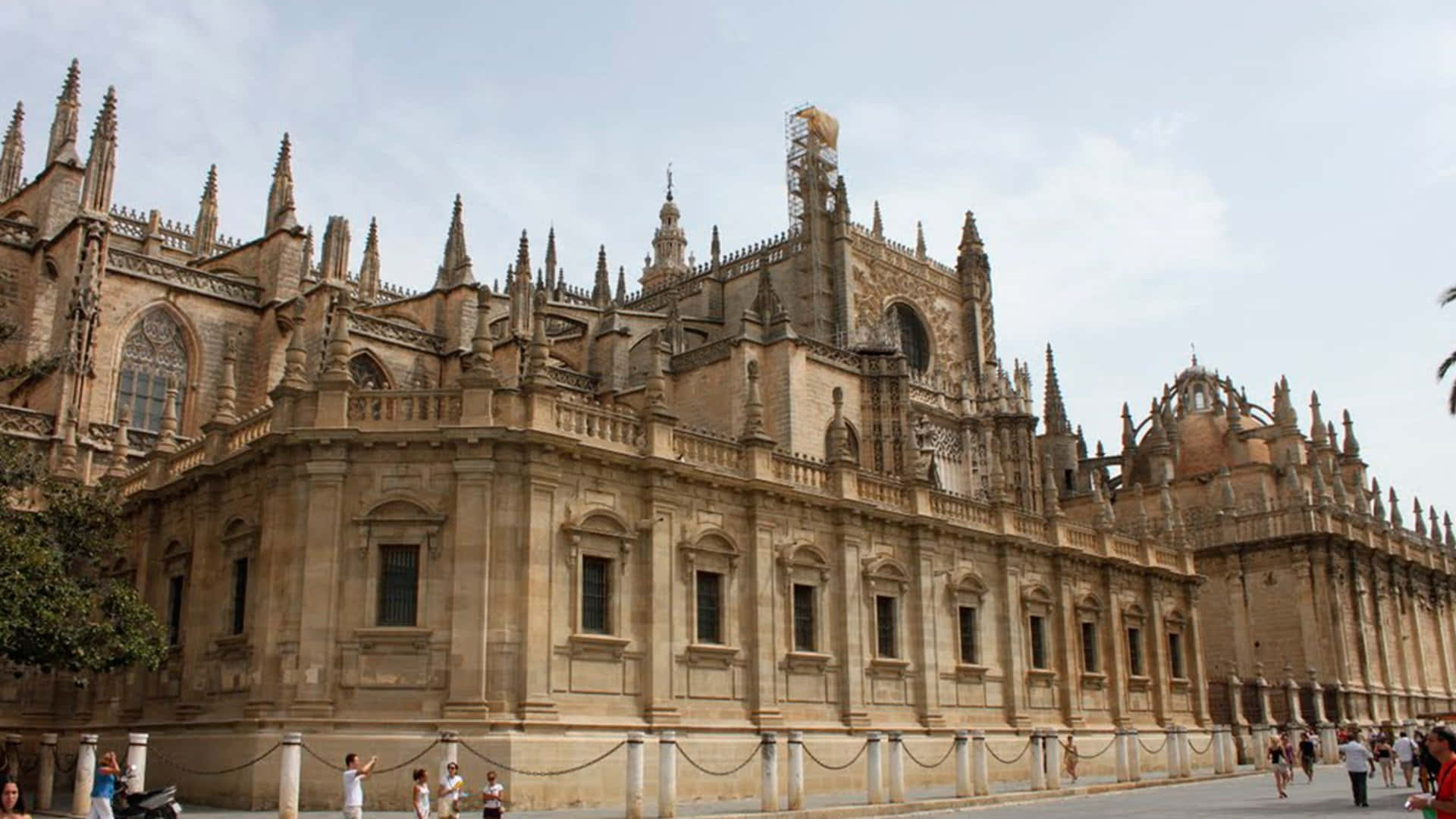 Seville Cathedral In The Daytime Background