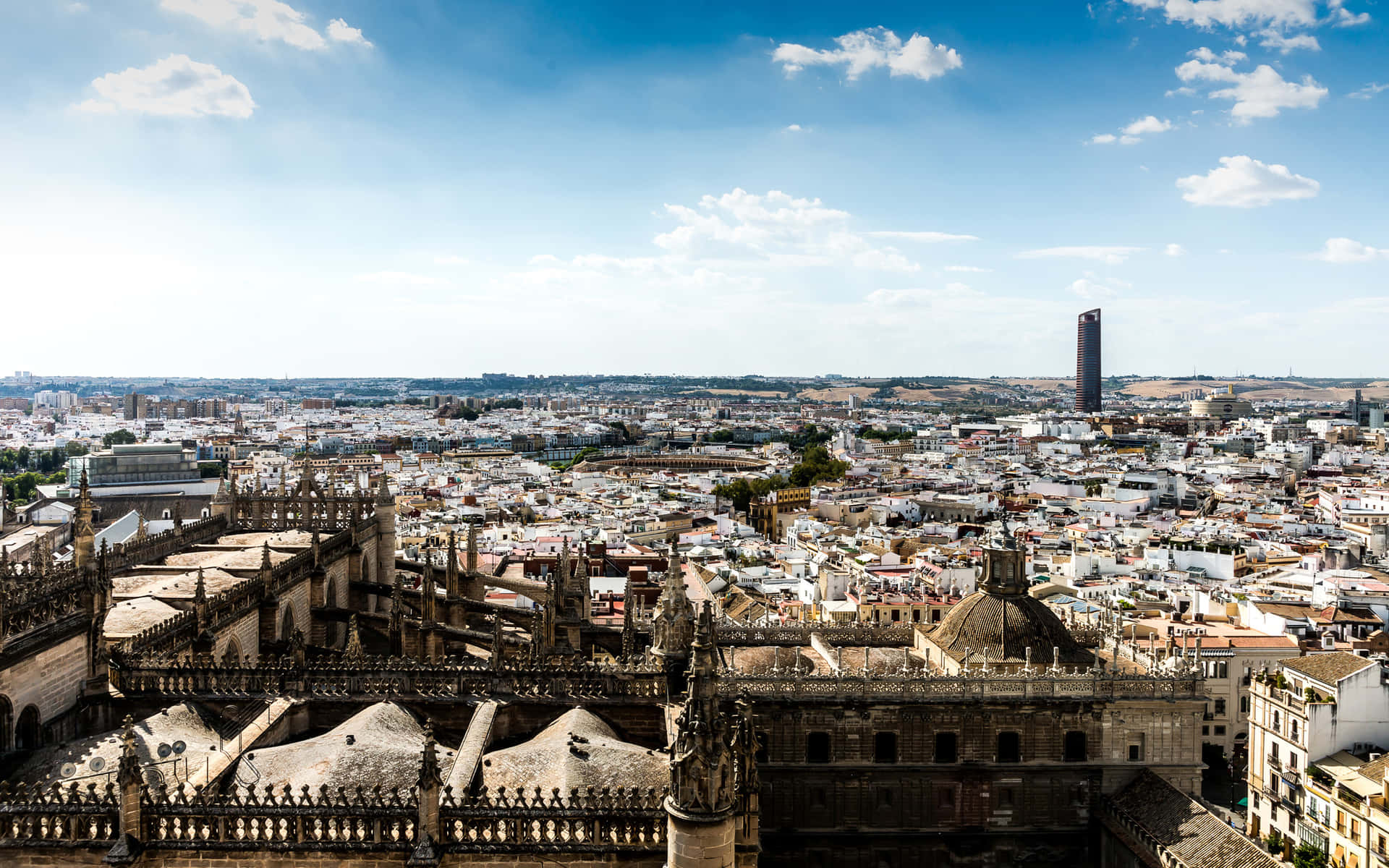 Seville Cathedral Pictured From Above Background