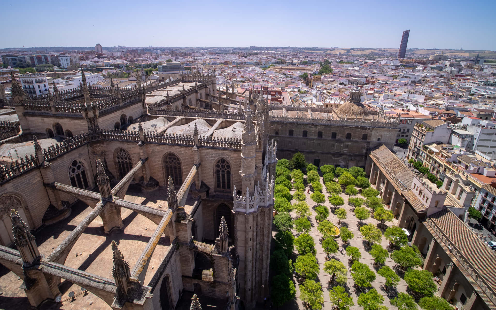 Seville Cathedral Top View Photo Background