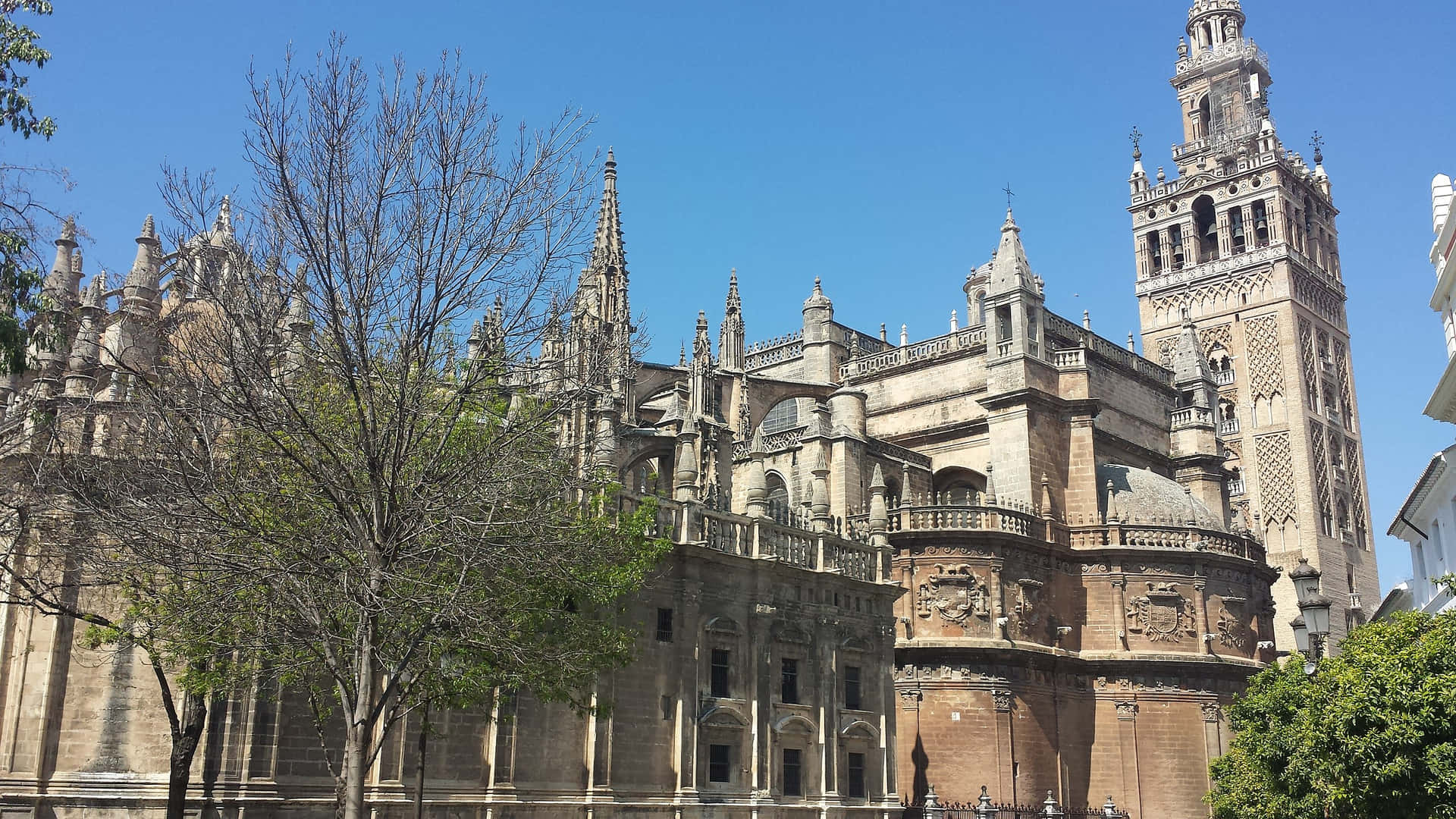 Seville Cathedral With La Giralda Background